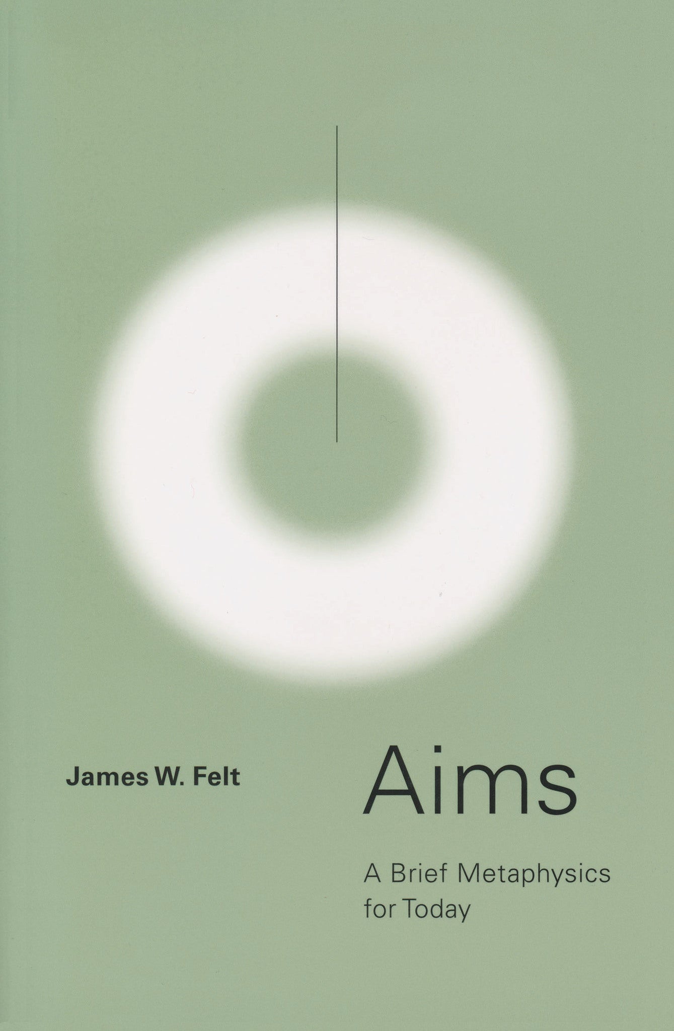Cover image for Aims ISBN 9780268204075