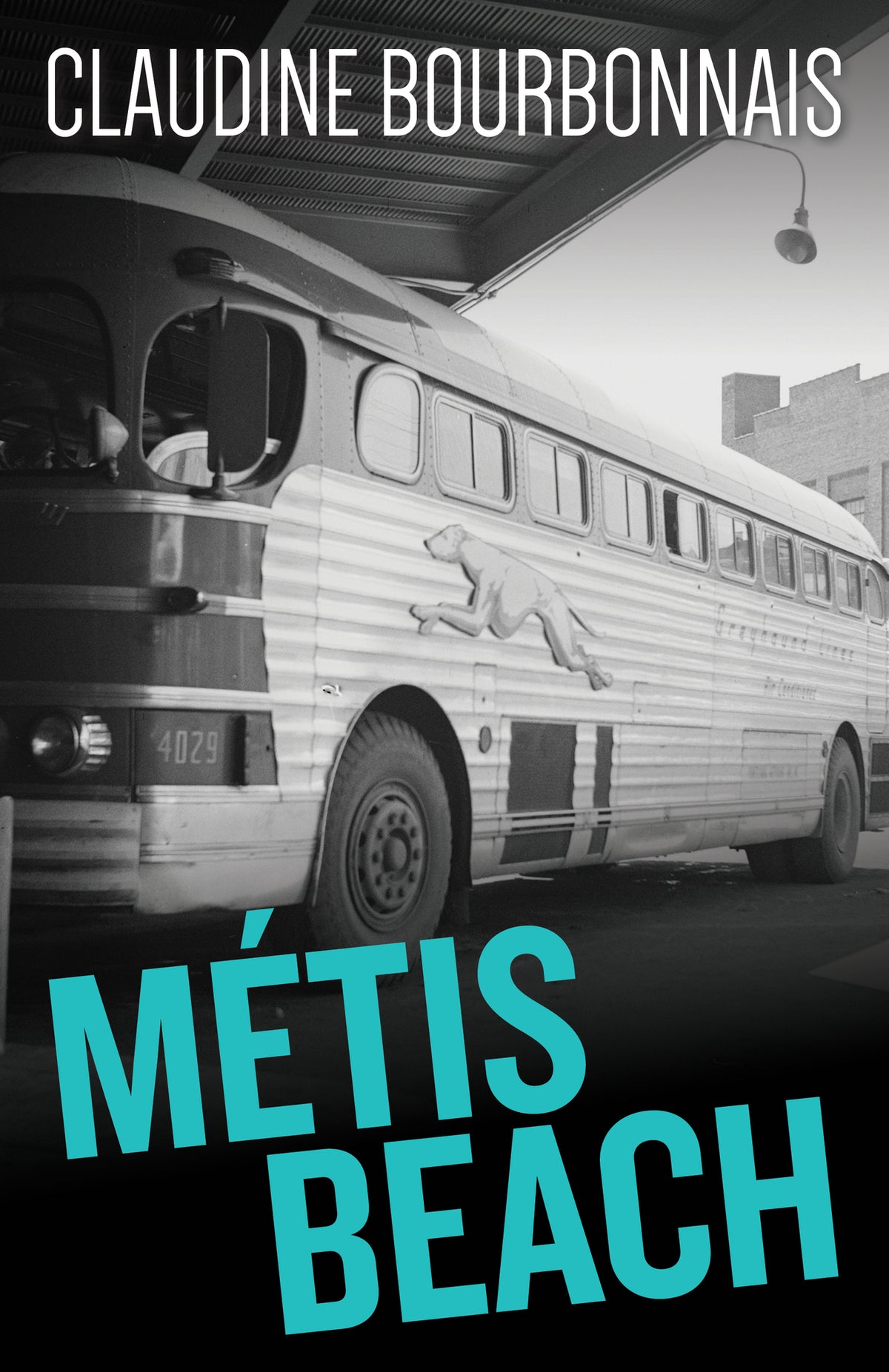 Cover image for Métis Beach ISBN 9781459733510
