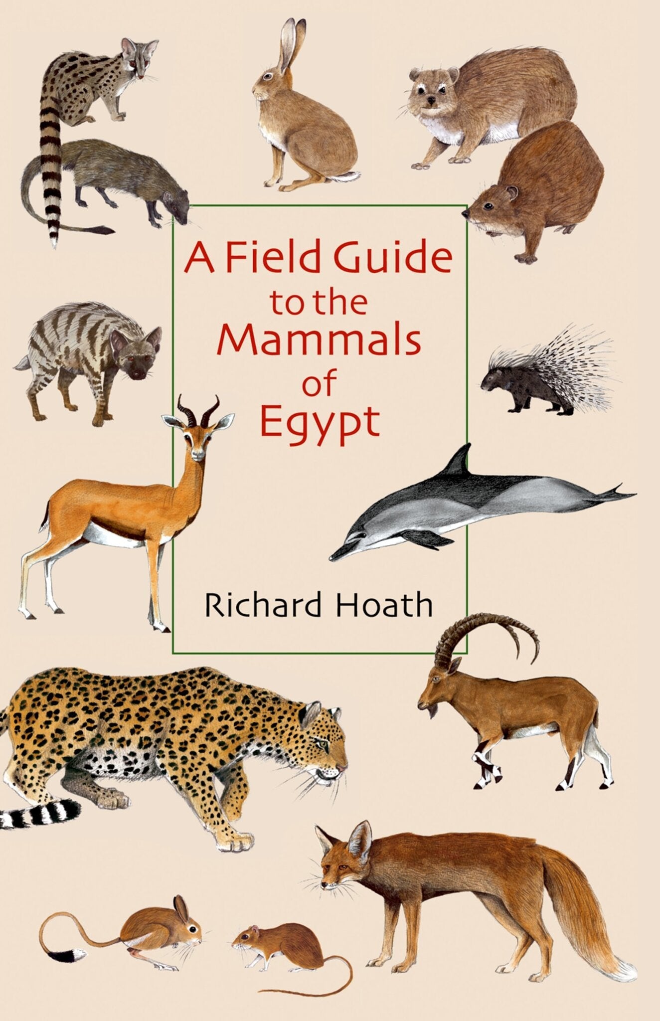 Cover image for A Field Guide to the Mammals of Egypt: ISBN 9781617972720