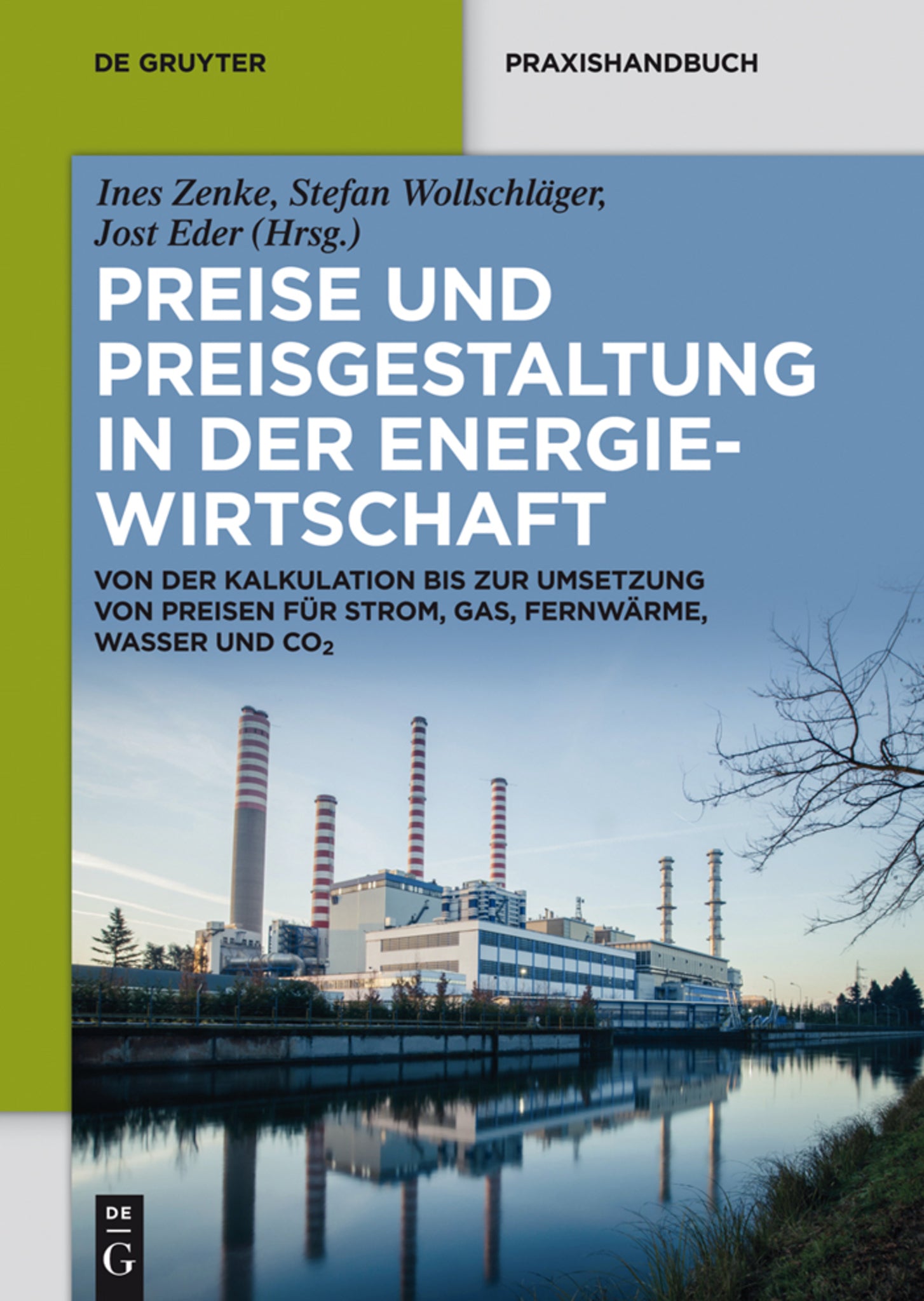 Cover image for Preise und Preisgestaltung in der Energiewirtschaft ISBN 9783110354621