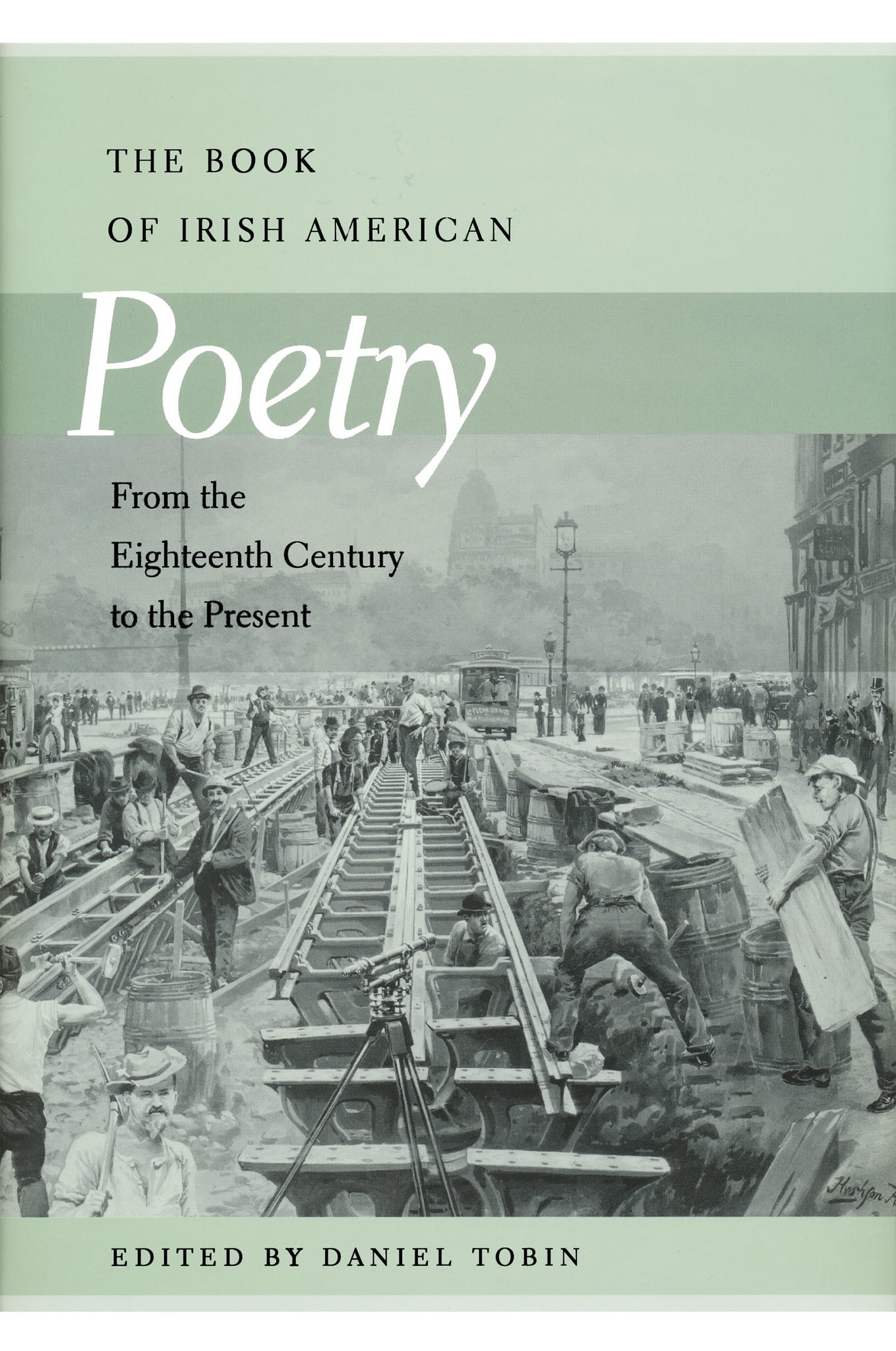 The Book of Irish American Poetry