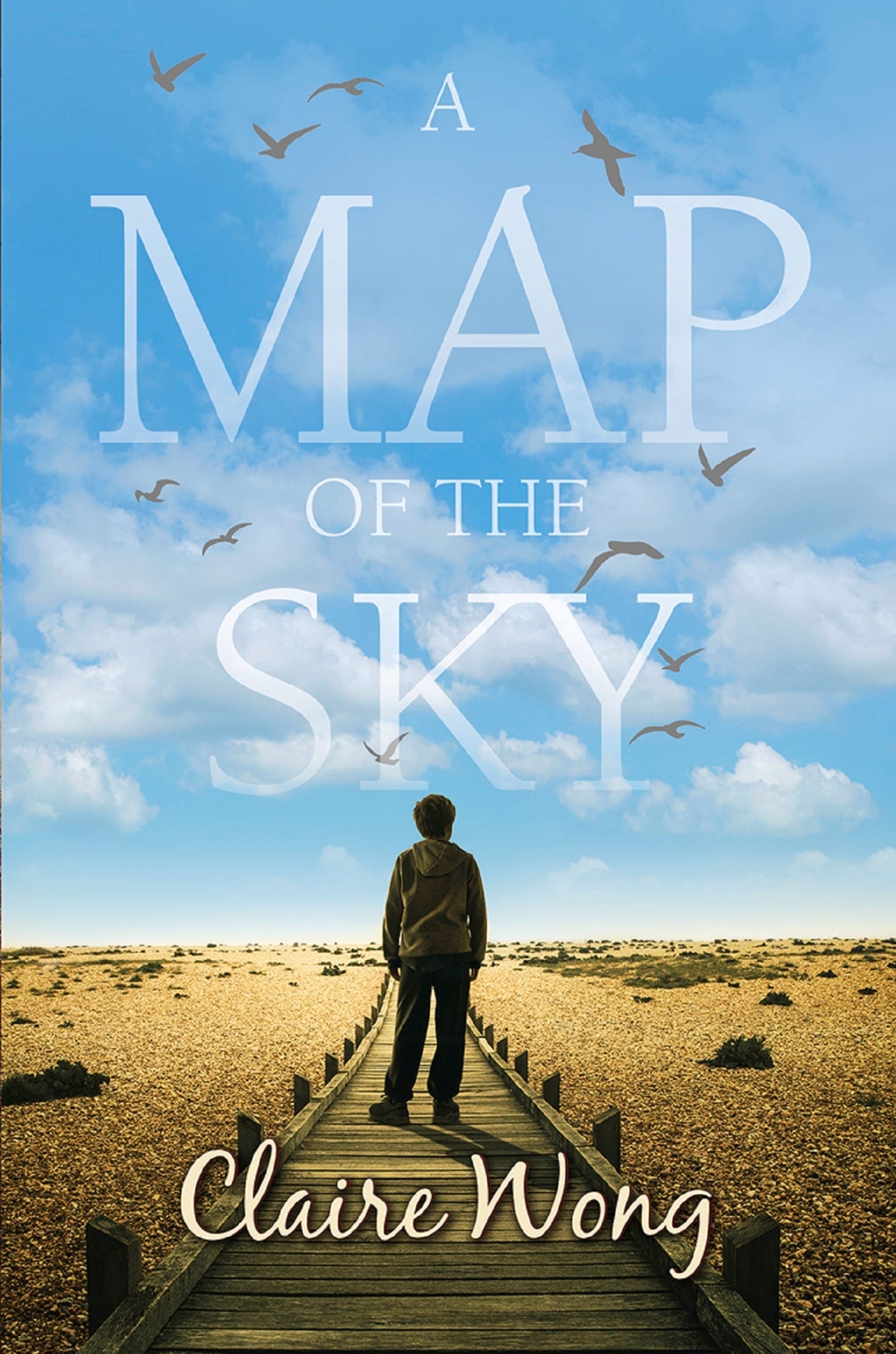 Cover image for A Map of the Sky ISBN 9781782642695