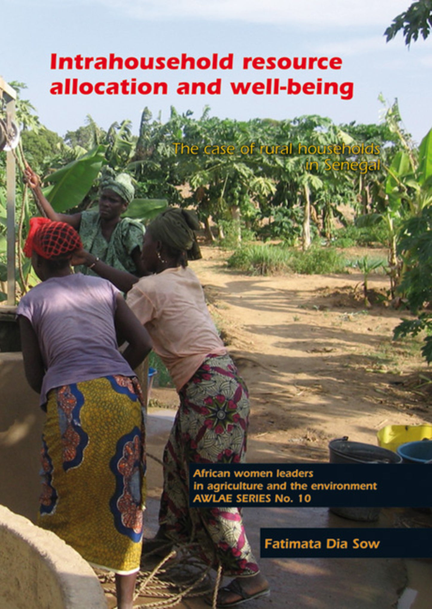 Intrahousehold resource allocation and well-being