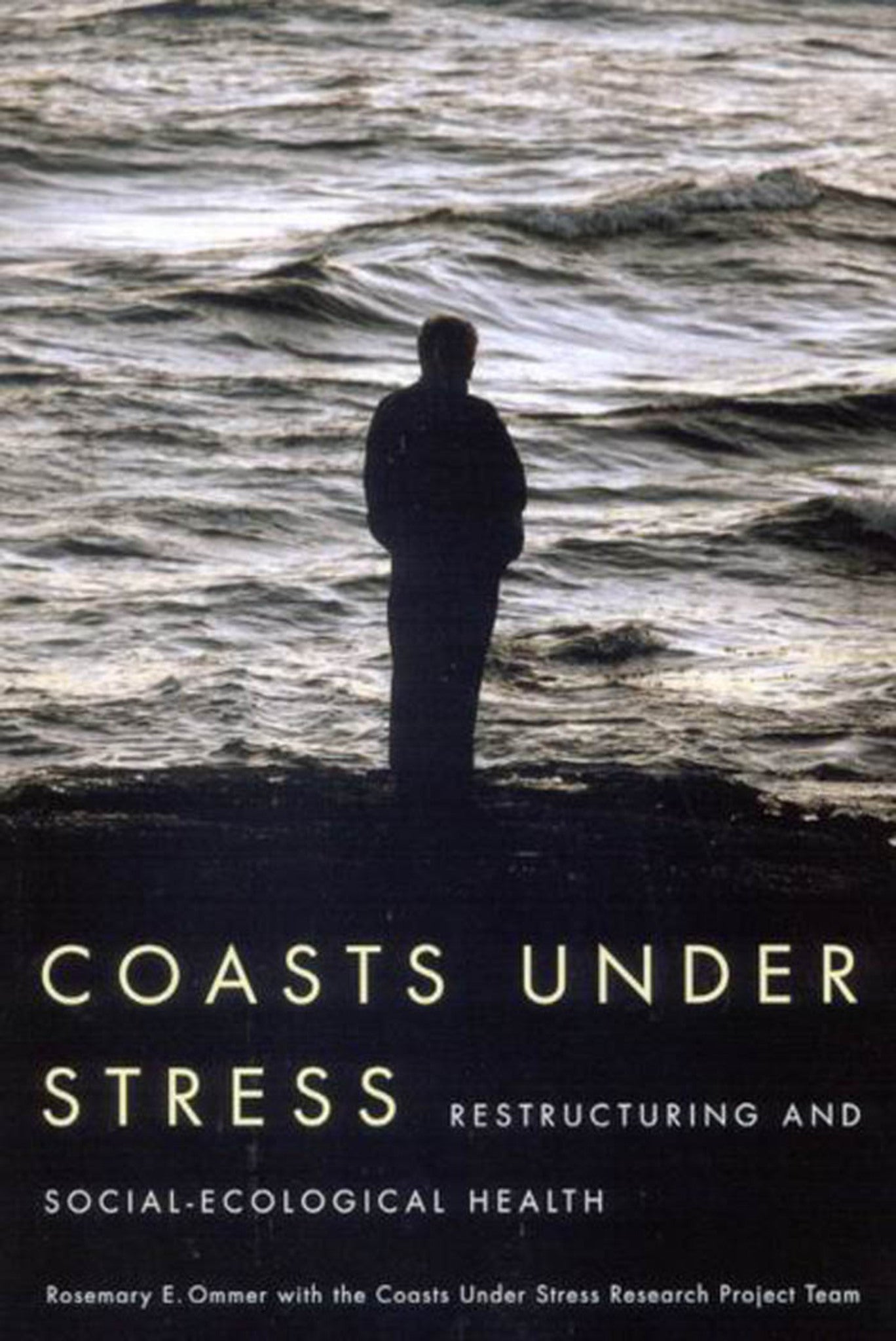 Cover image for Coasts Under Stress ISBN 9780773532250