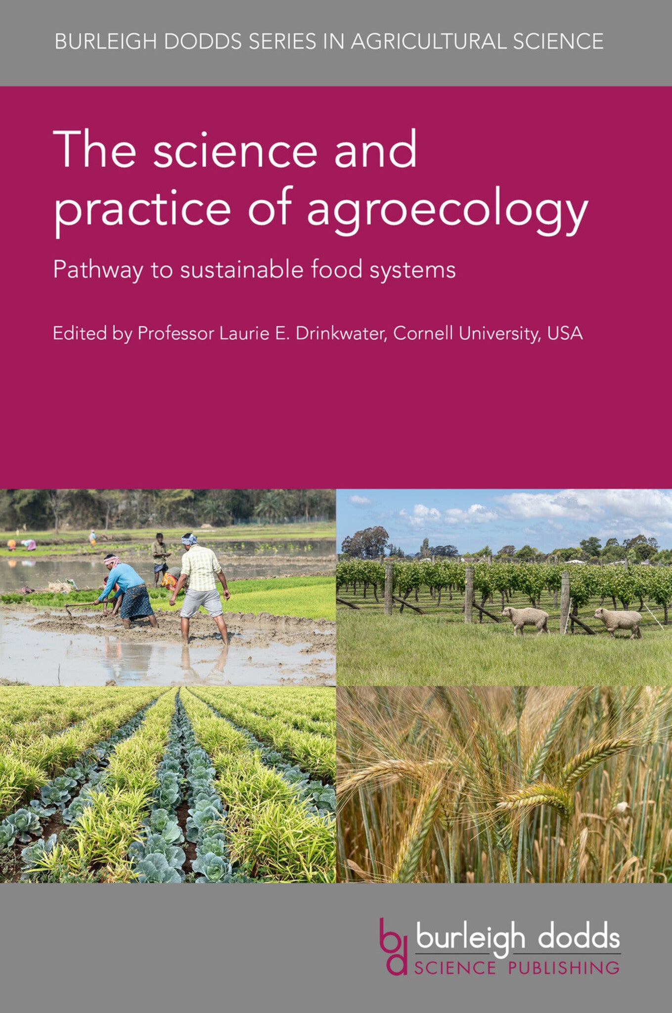 Cover image for The science and practice of agroecology ISBN 9781801468992