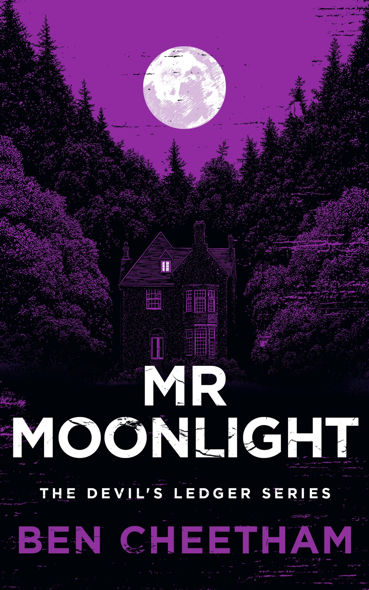 Cover image for Mr Moonlight ISBN 9781036709990