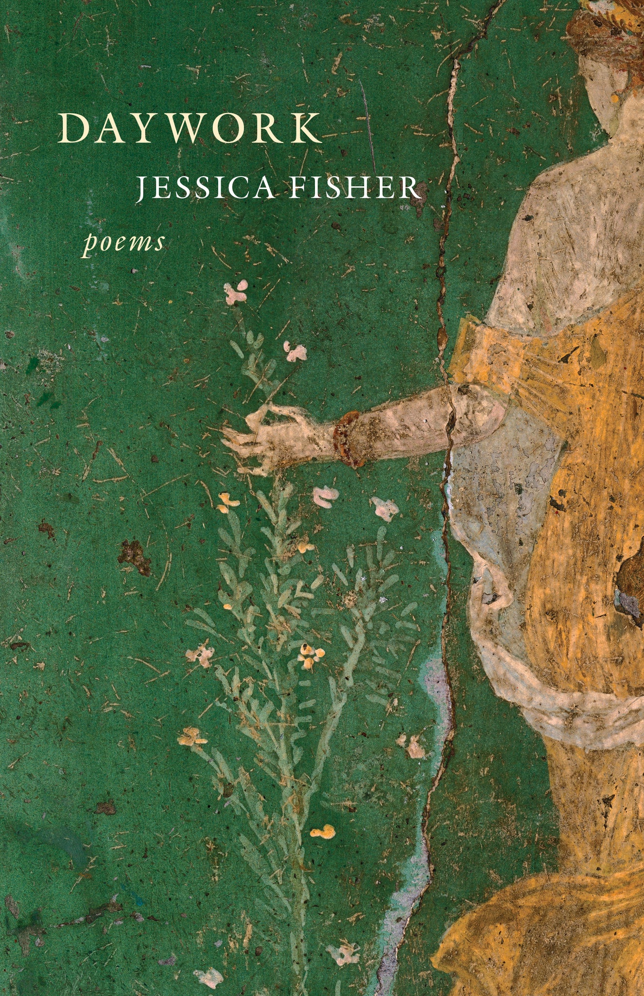 Cover image for Daywork ISBN 9781639550722