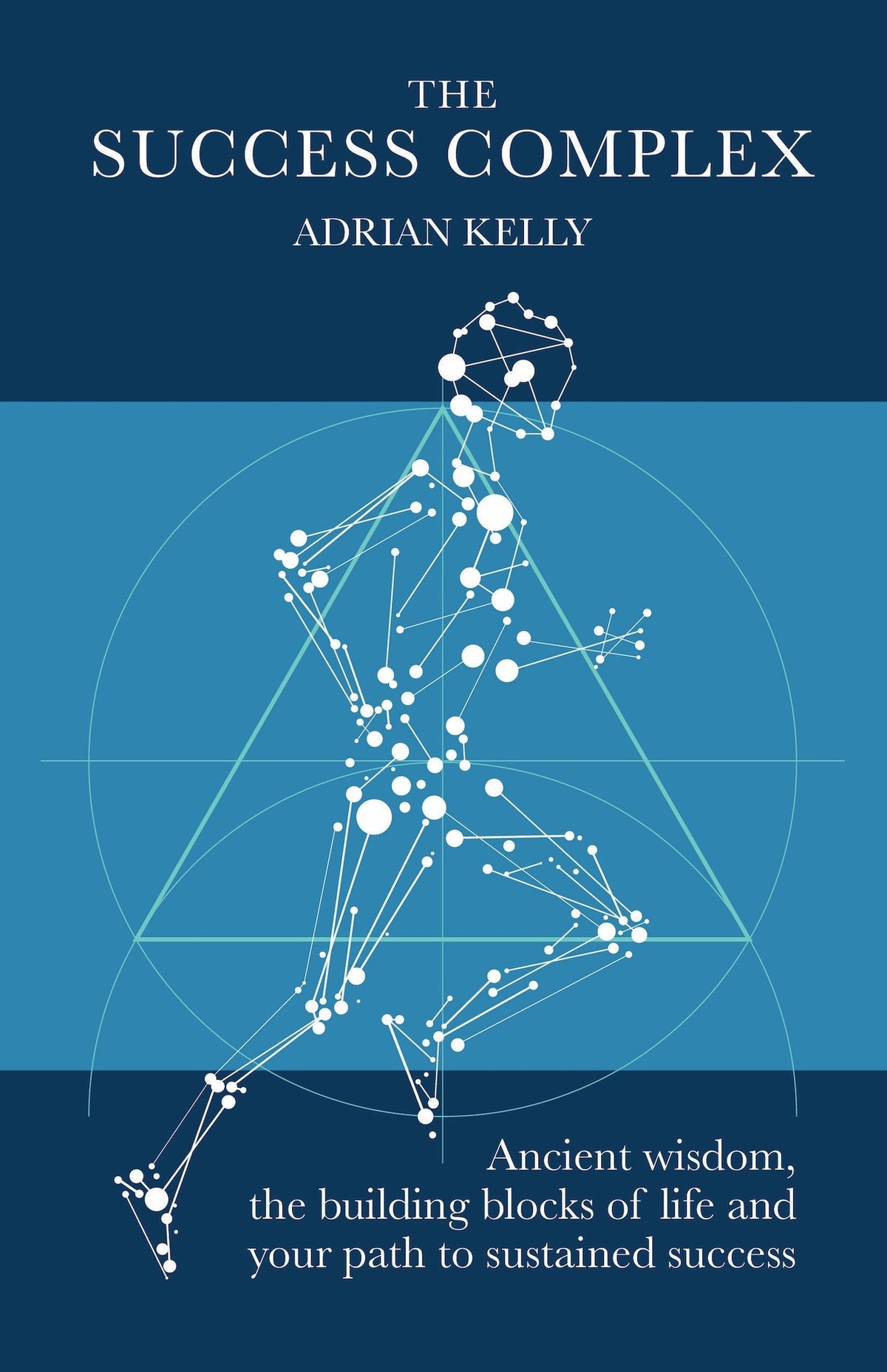 Cover image for The Success Complex ISBN 9781788603812