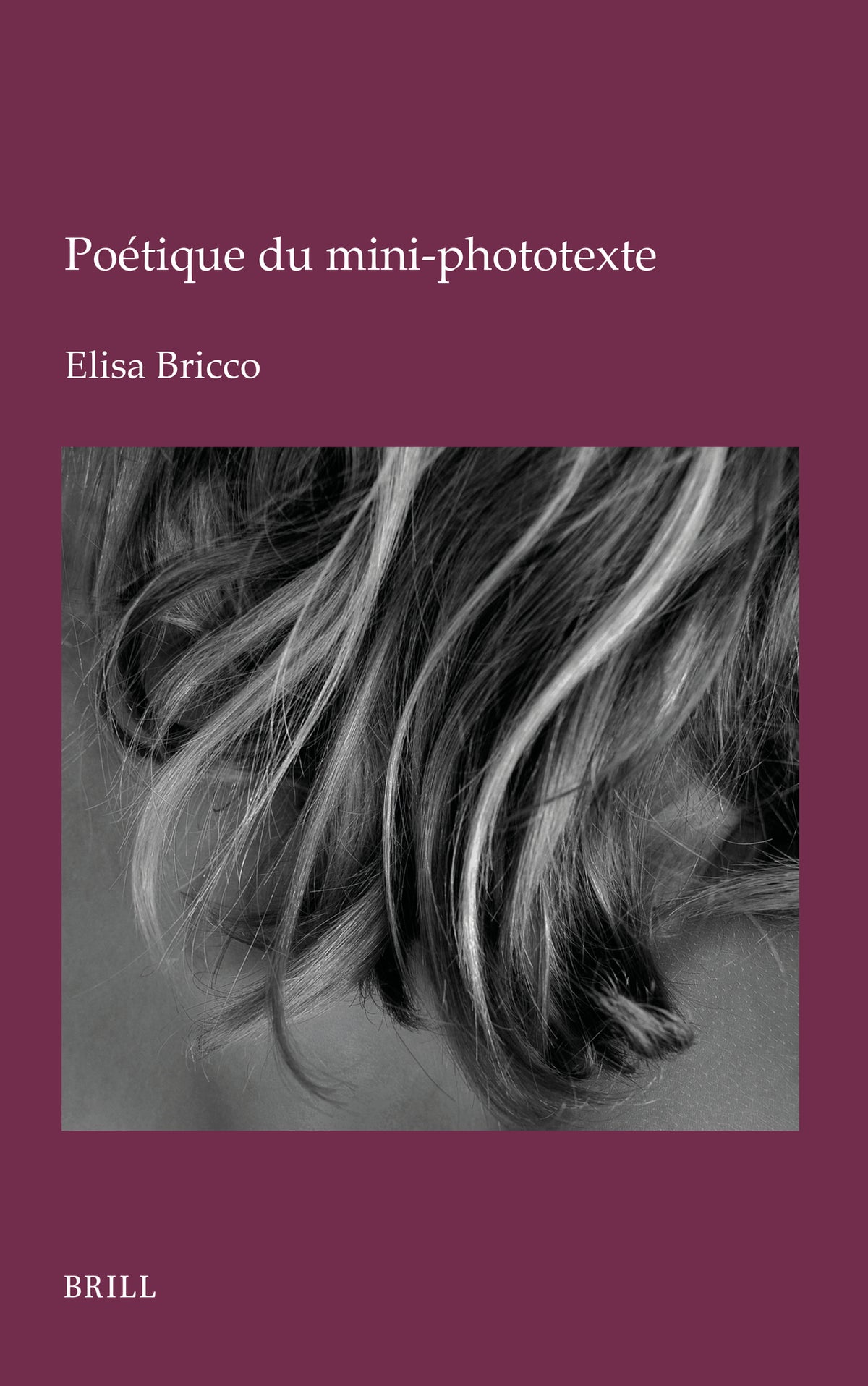 Poétique du mini-phototexte