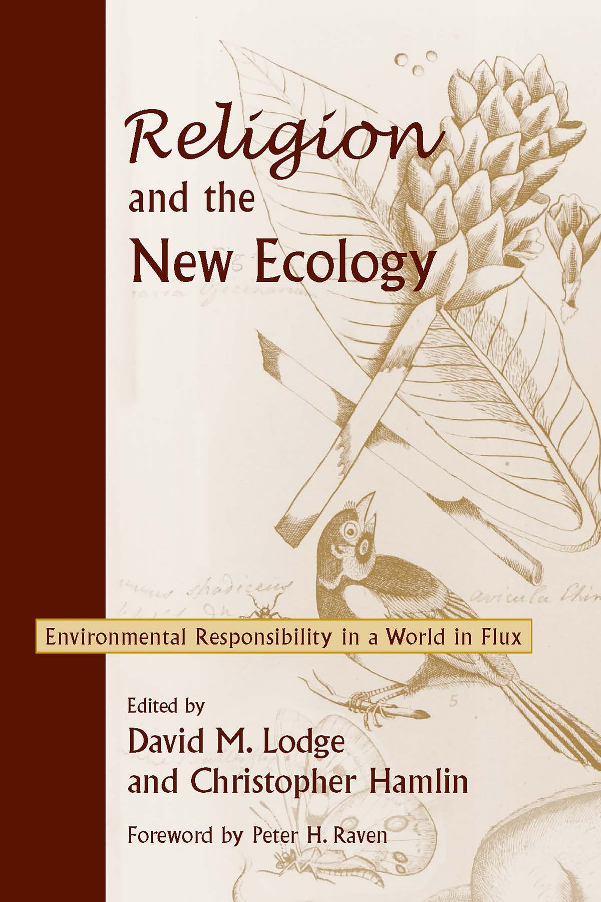 Cover image for Religion and the New Ecology ISBN 9780268034047