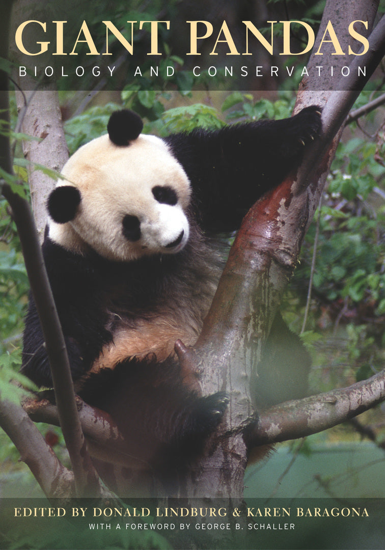 Cover image for Giant Pandas ISBN 9780520238671