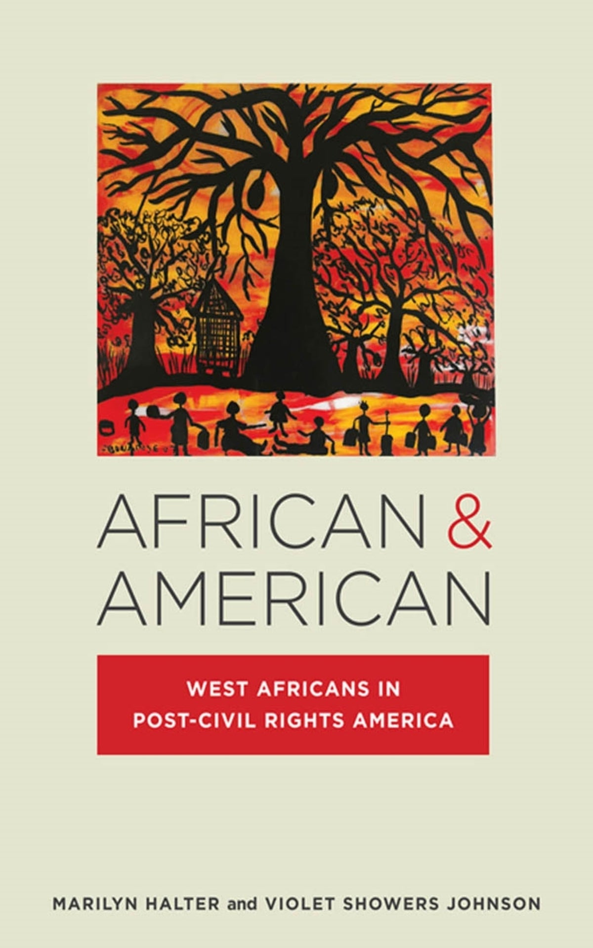 Cover image for African & American ISBN 9780814760703