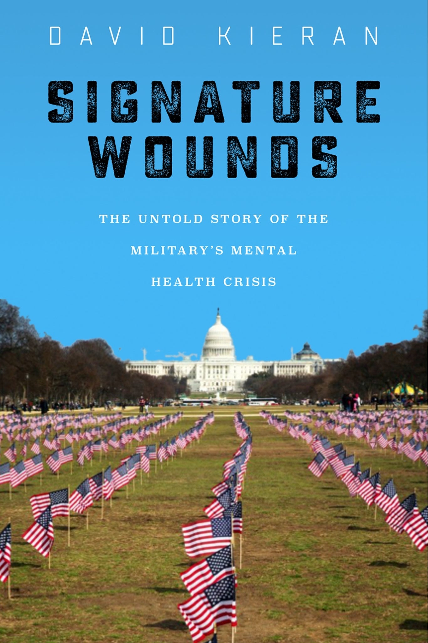 Cover image for Signature Wounds ISBN 9781479824007