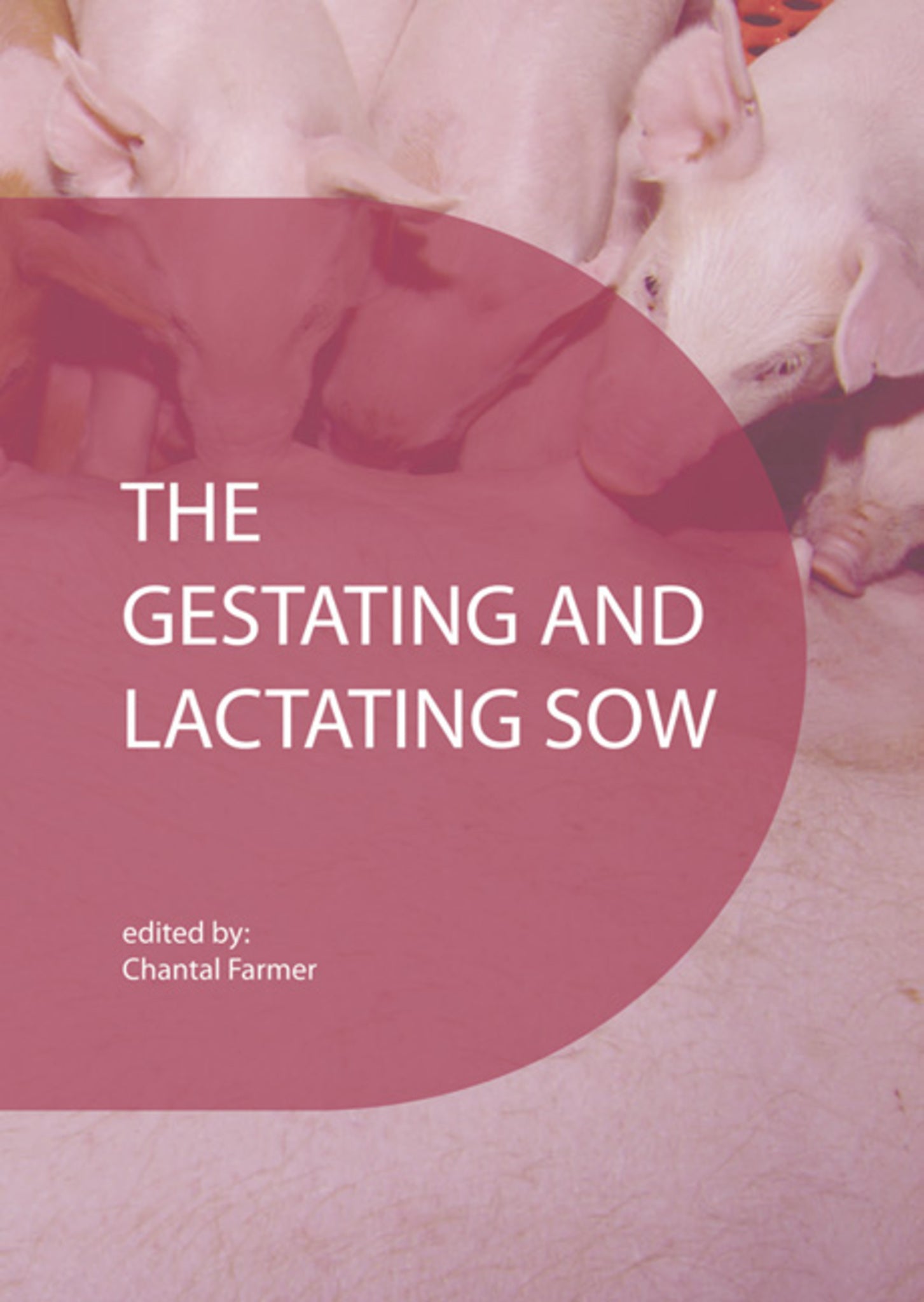 The gestating and lactating sow