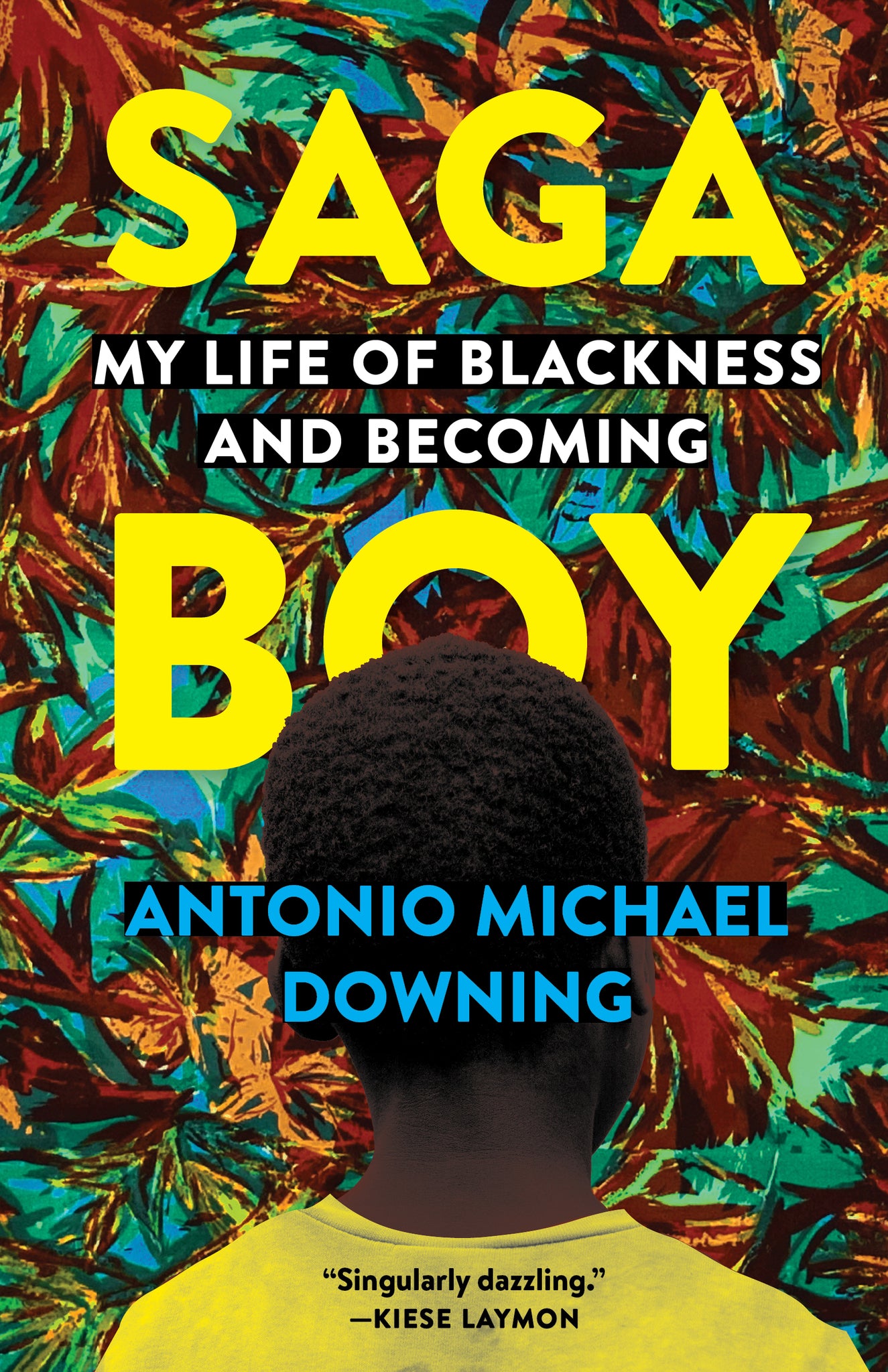 Cover image for Saga Boy ISBN 9781571311993