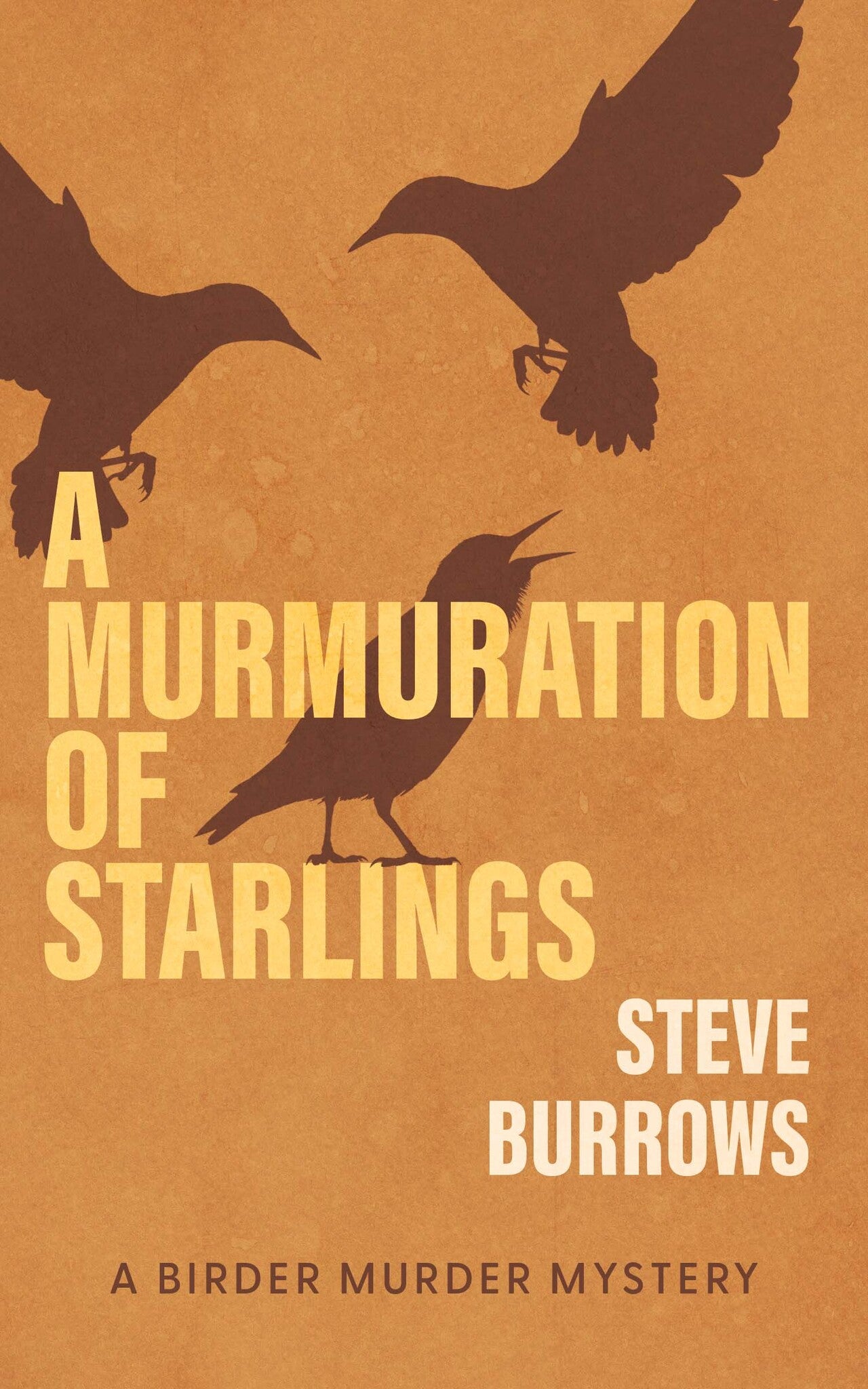 Cover image for A Murmuration of Starlings ISBN 9781459756595
