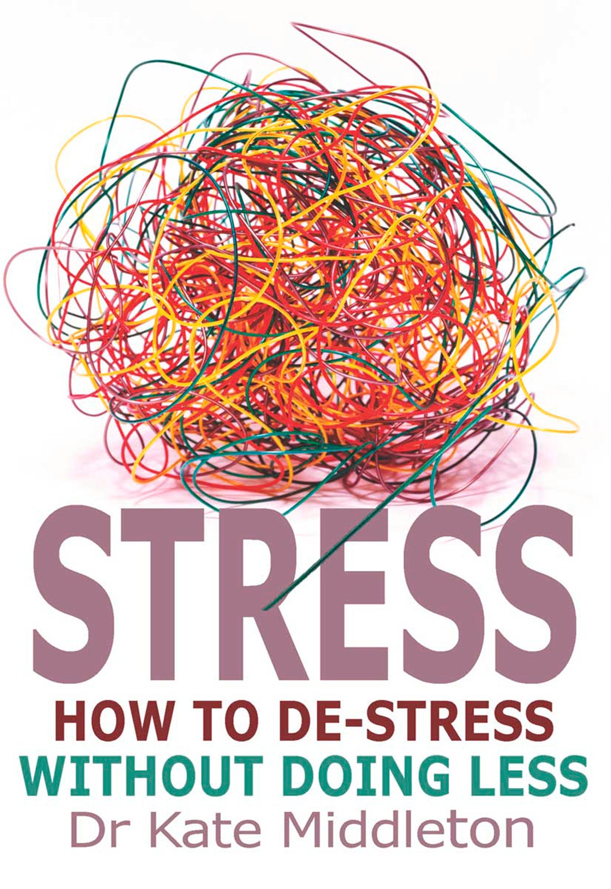 Cover image for Stress ISBN 9780745959979