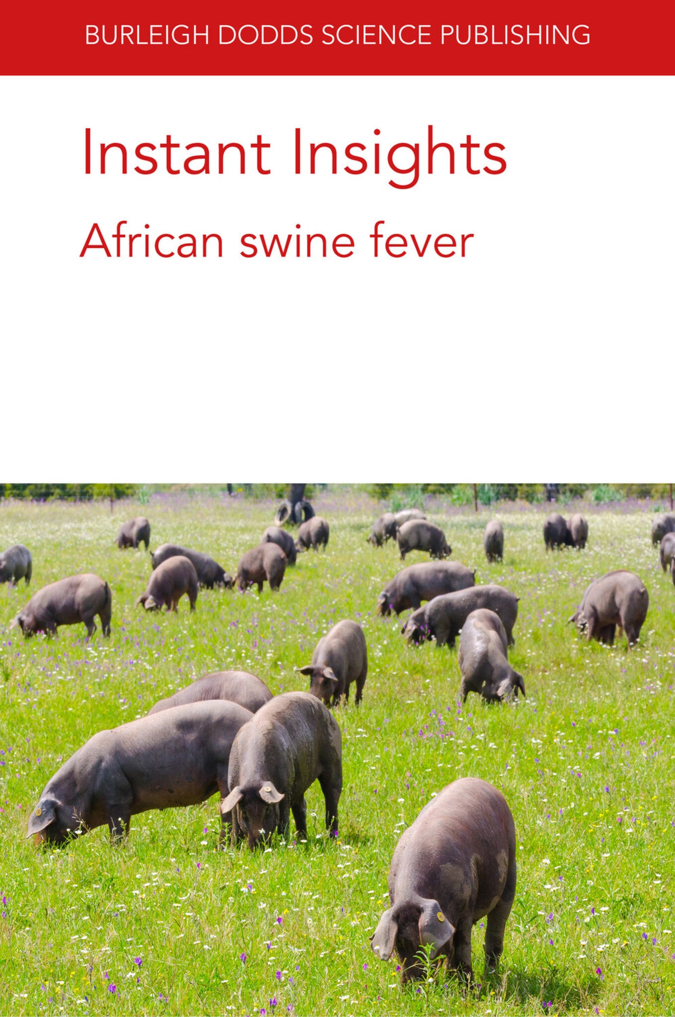 Cover image for Instant Insights: African swine fever ISBN 9781786768629