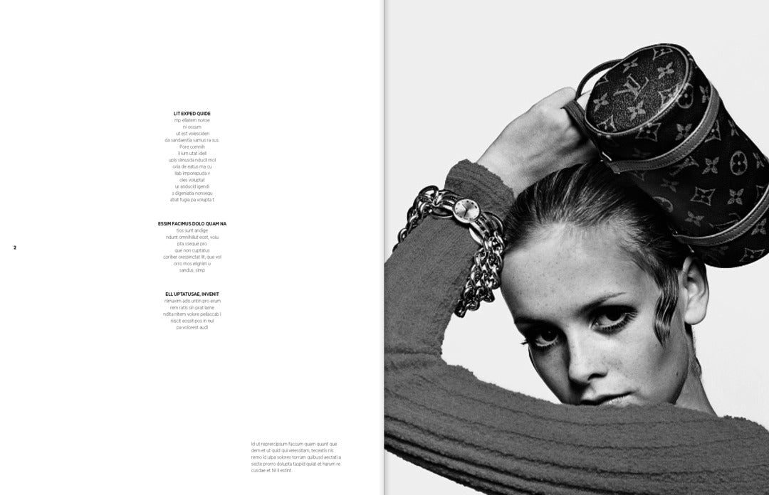 Cover image for The Ultimate Guide to Louis Vuitton Bags ISBN 9783961718481