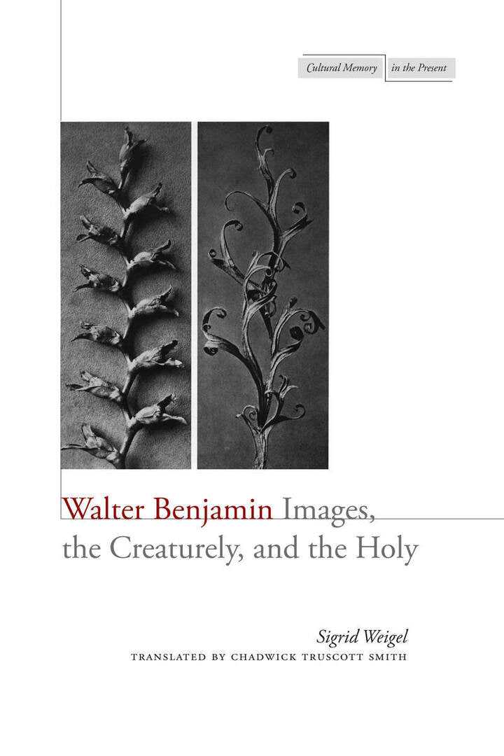 Cover image for Walter Benjamin ISBN 9780804780605