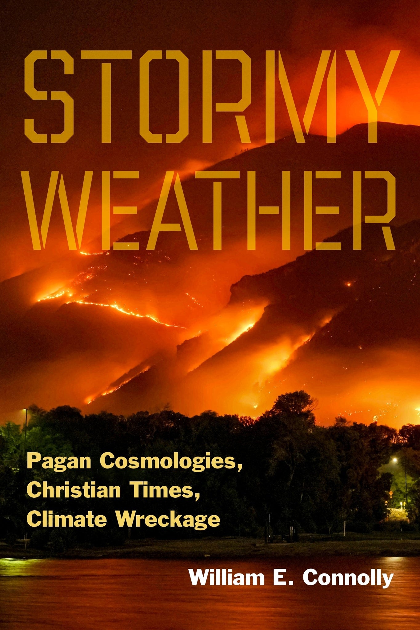 Cover image for Stormy Weather ISBN 9781531509200
