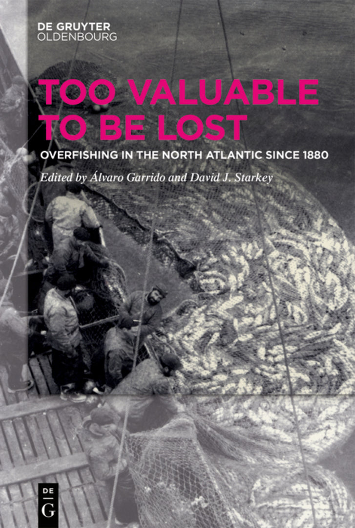 Cover image for Too Valuable to be Lost ISBN 9783110637588