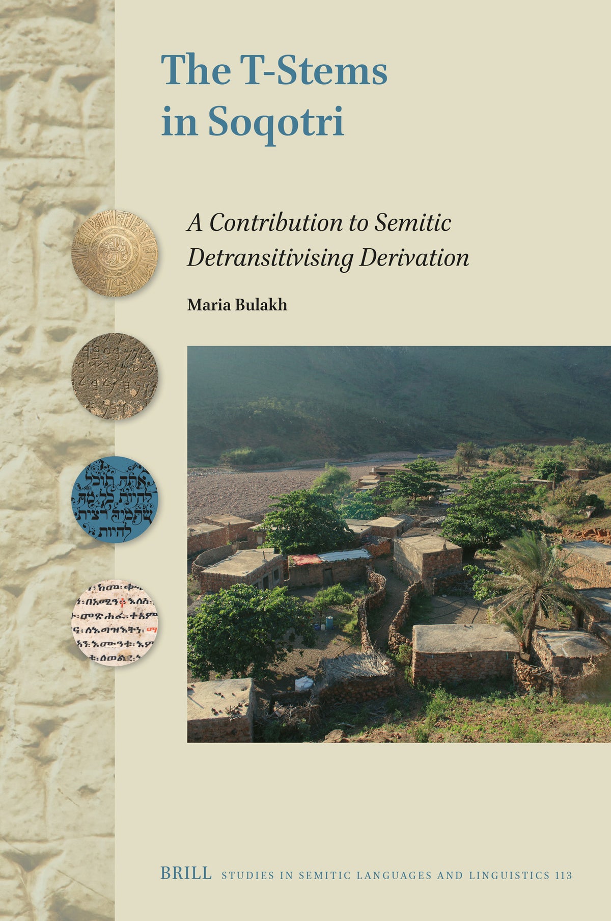 Cover image for The T-Stems in Soqotri ISBN 9789004703773