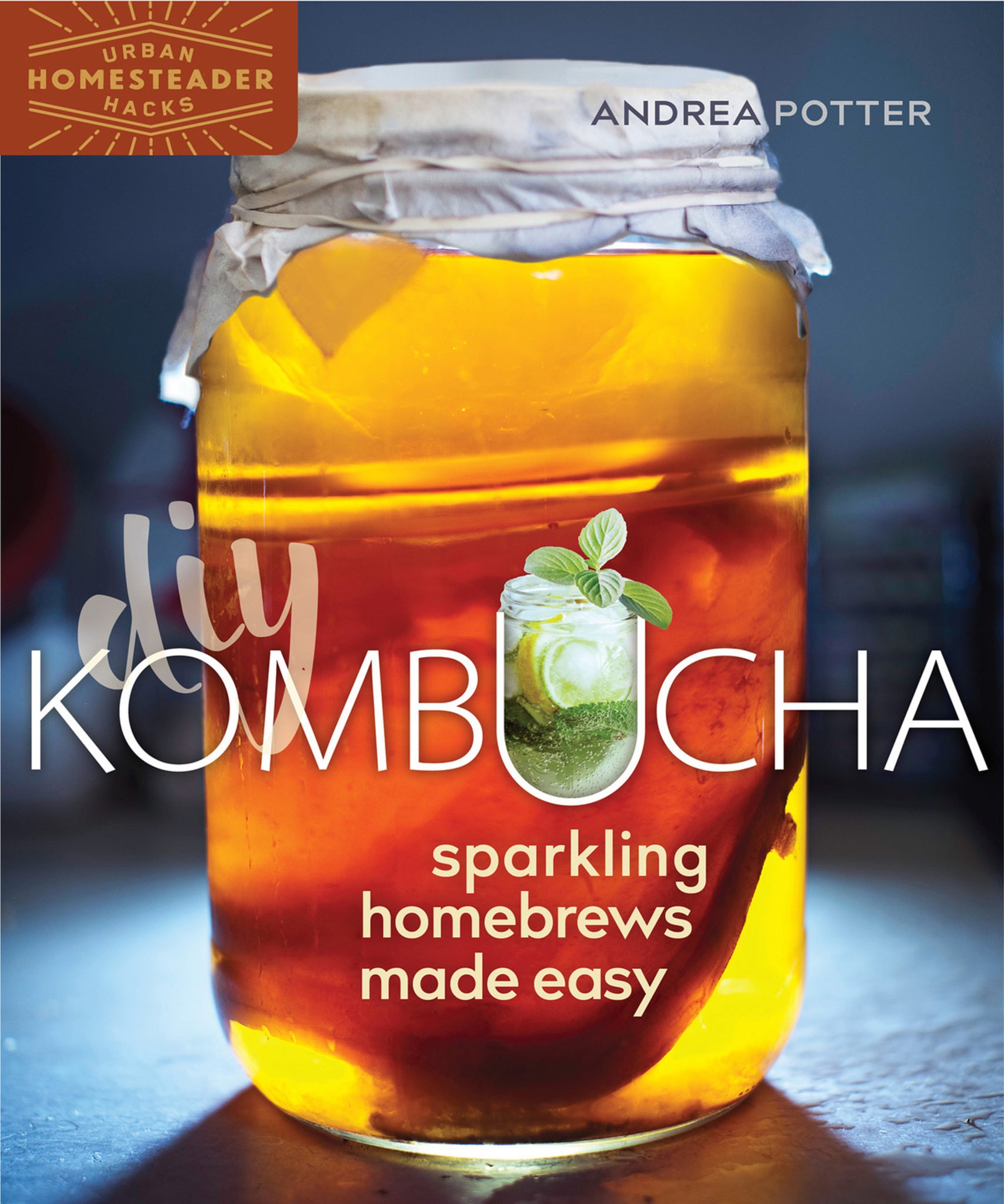 Cover image for DIY Kombucha ISBN 9780865718876