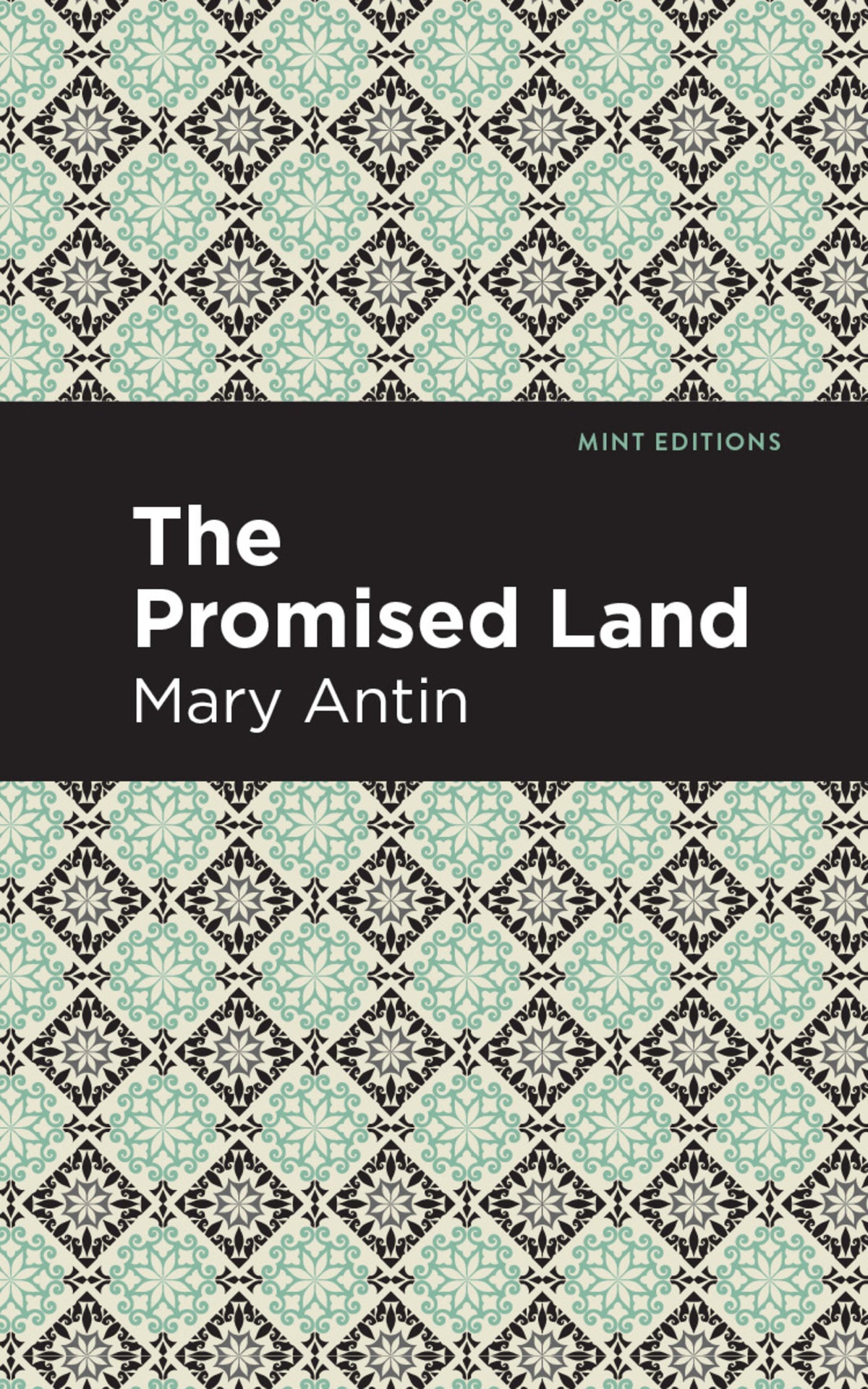Cover image for The Promised Land ISBN 9781513267869
