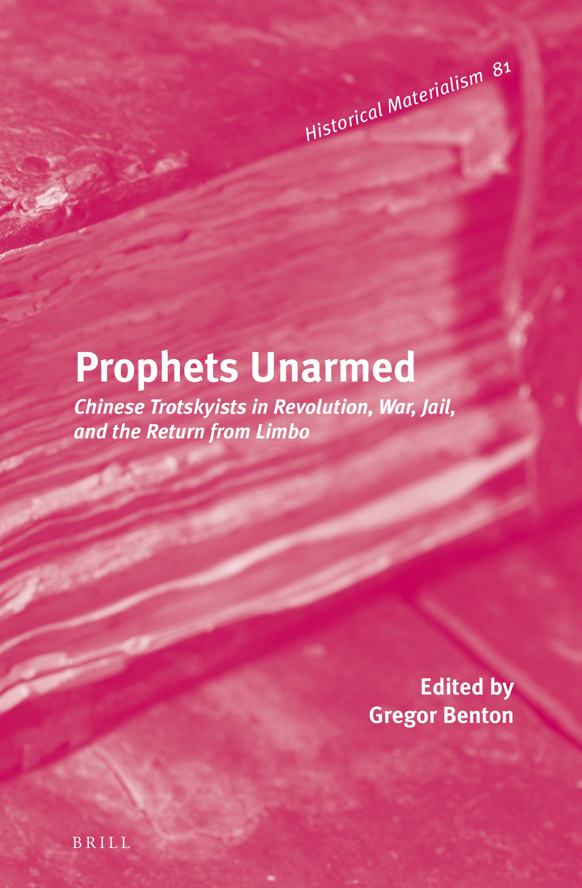 Cover image for Prophets Unarmed ISBN 9789004269767