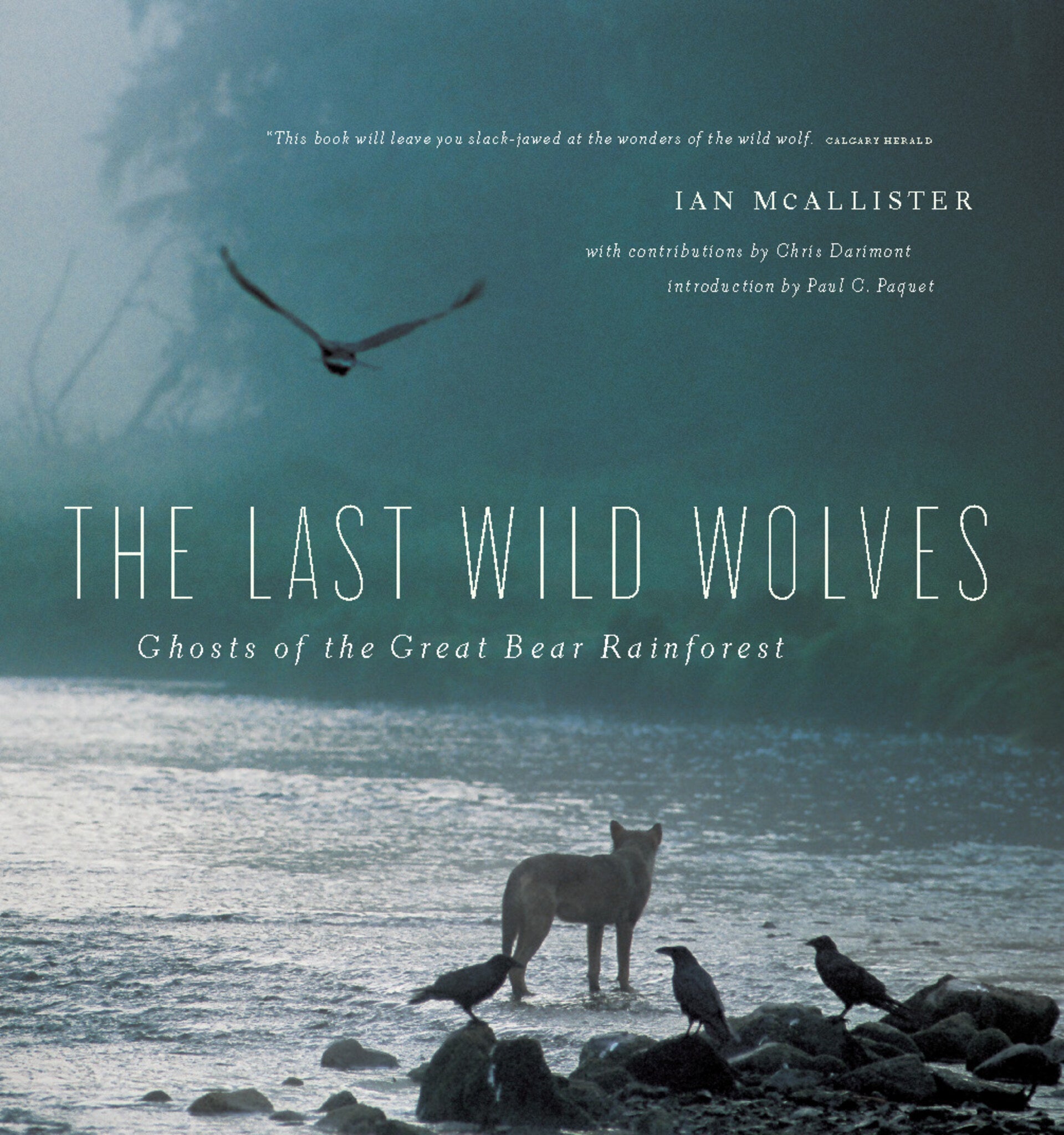 Cover image for The Last Wild Wolves ISBN 9781553654520