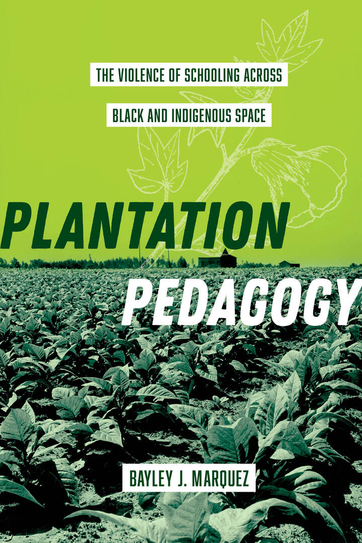 Cover image for Plantation Pedagogy ISBN 9780520393721