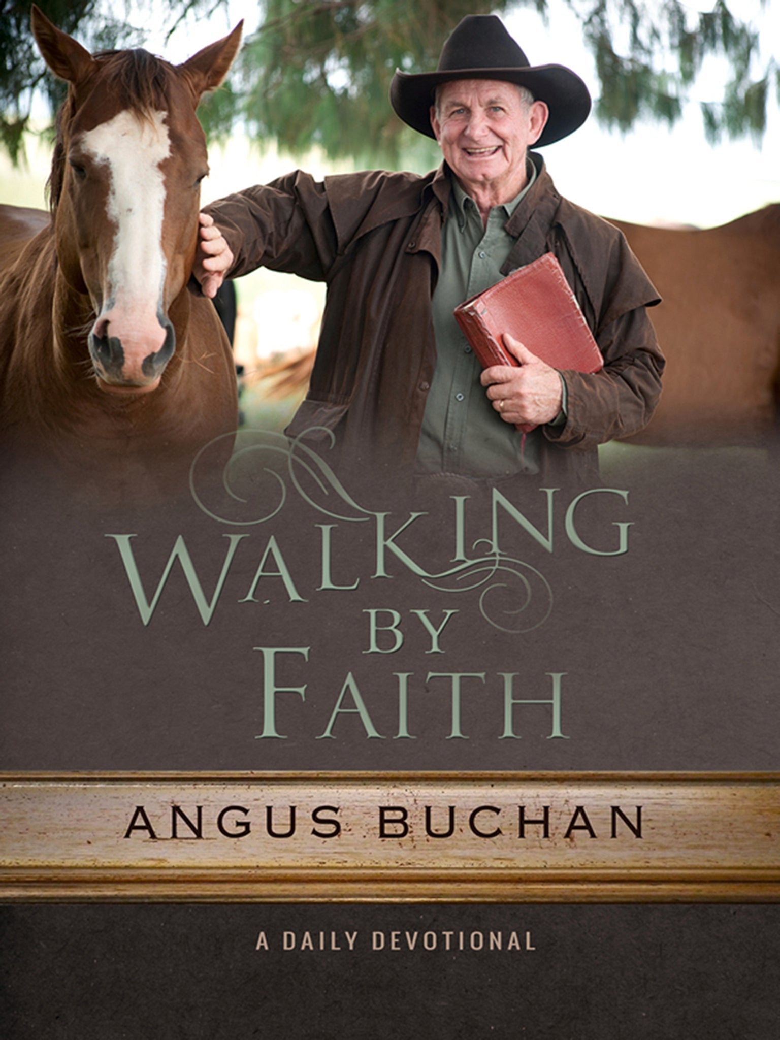 Cover image for Walking by Faith ISBN 9780857216595