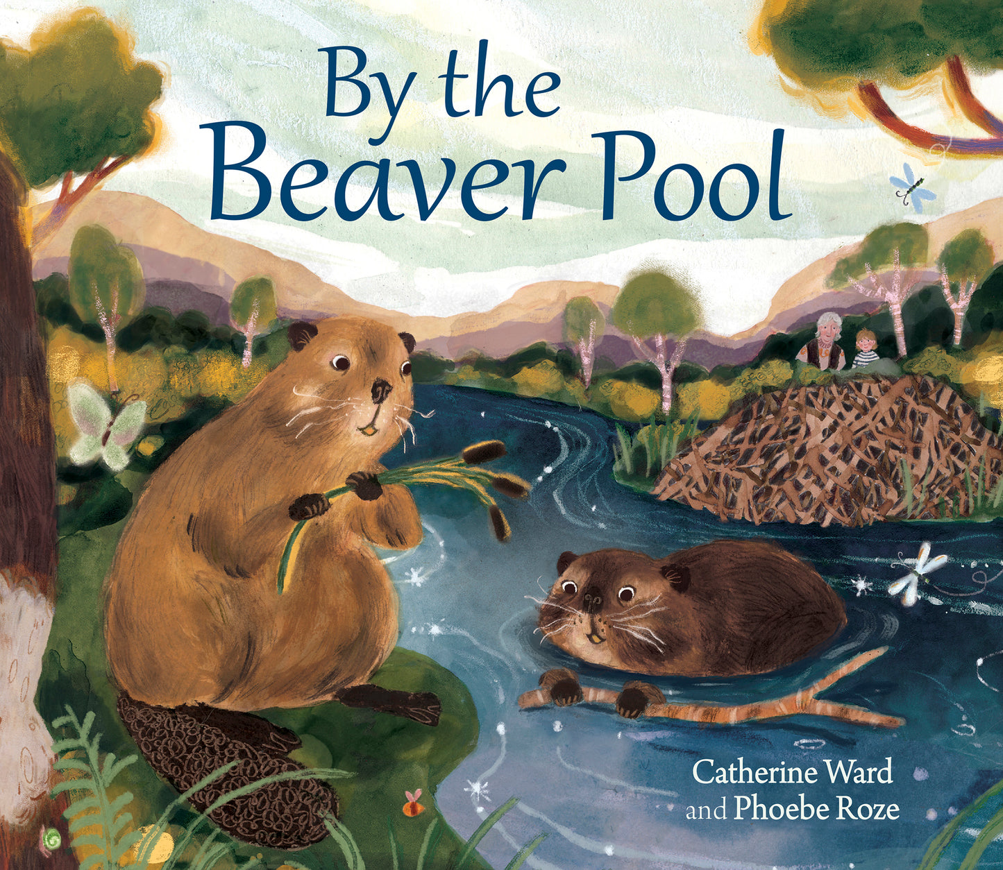 Cover image for By the Beaver Pool ISBN 9781782509356