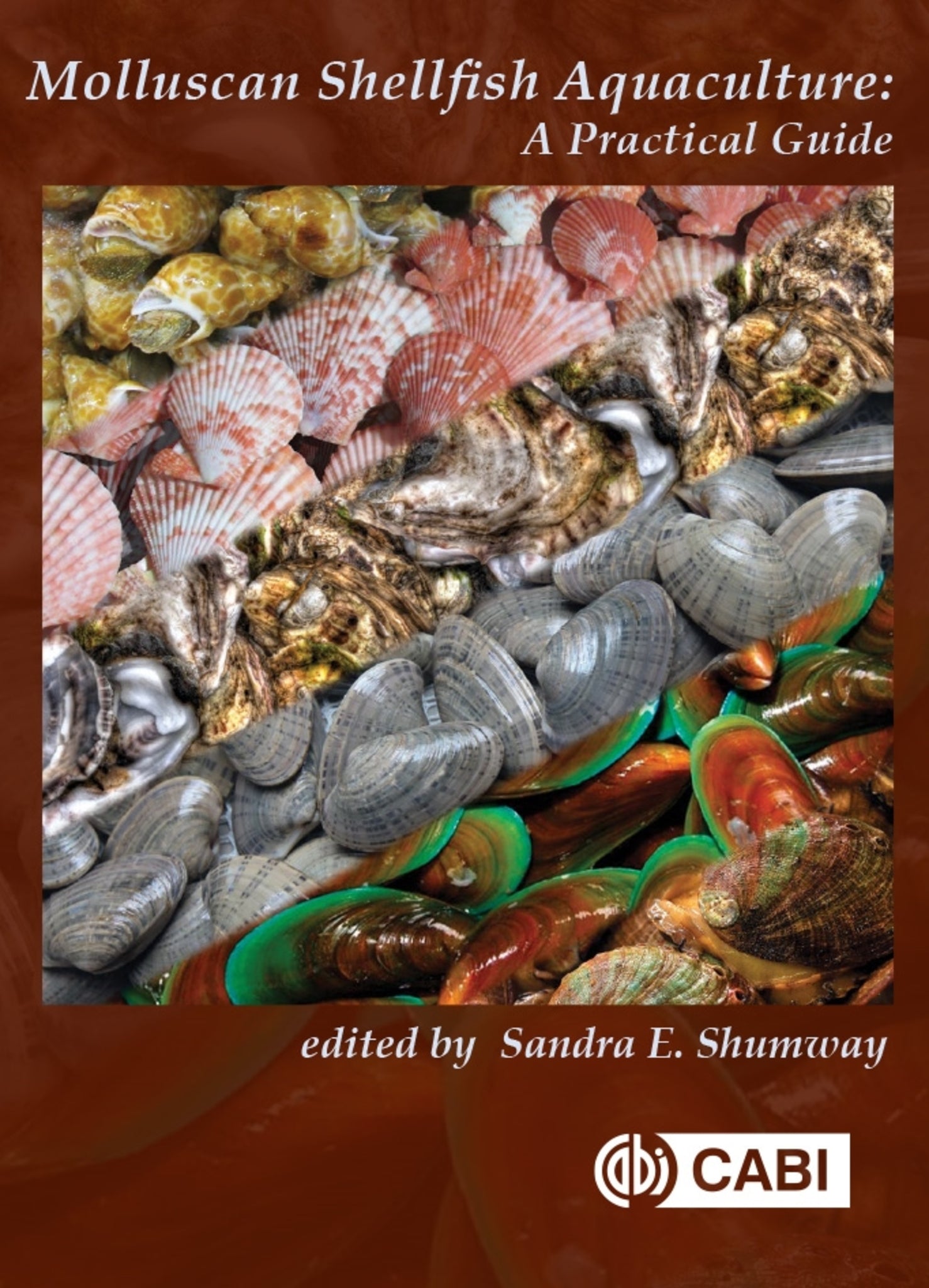 Molluscan Shellfish Aquaculture