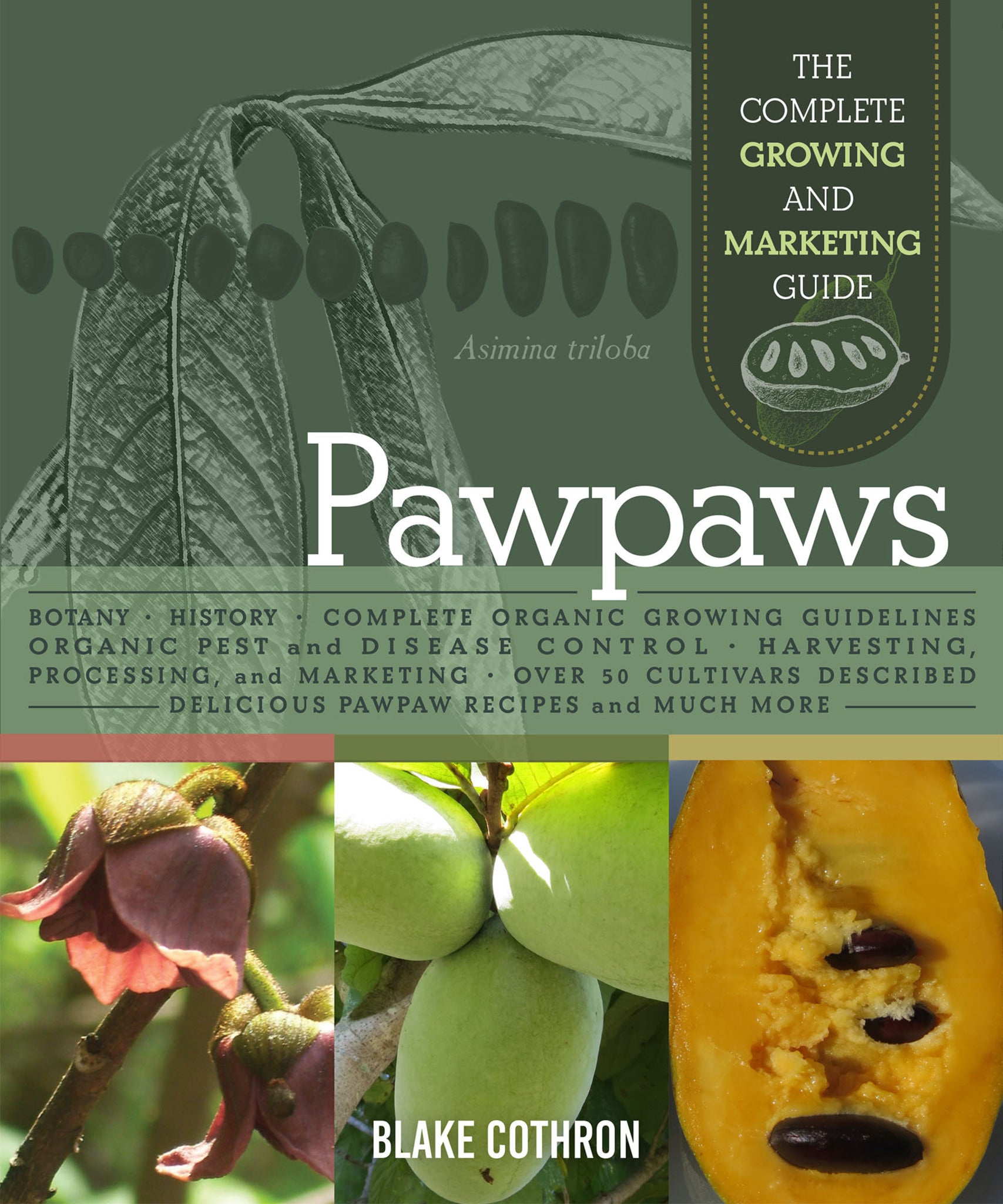 Cover image for Pawpaws ISBN 9780865719552