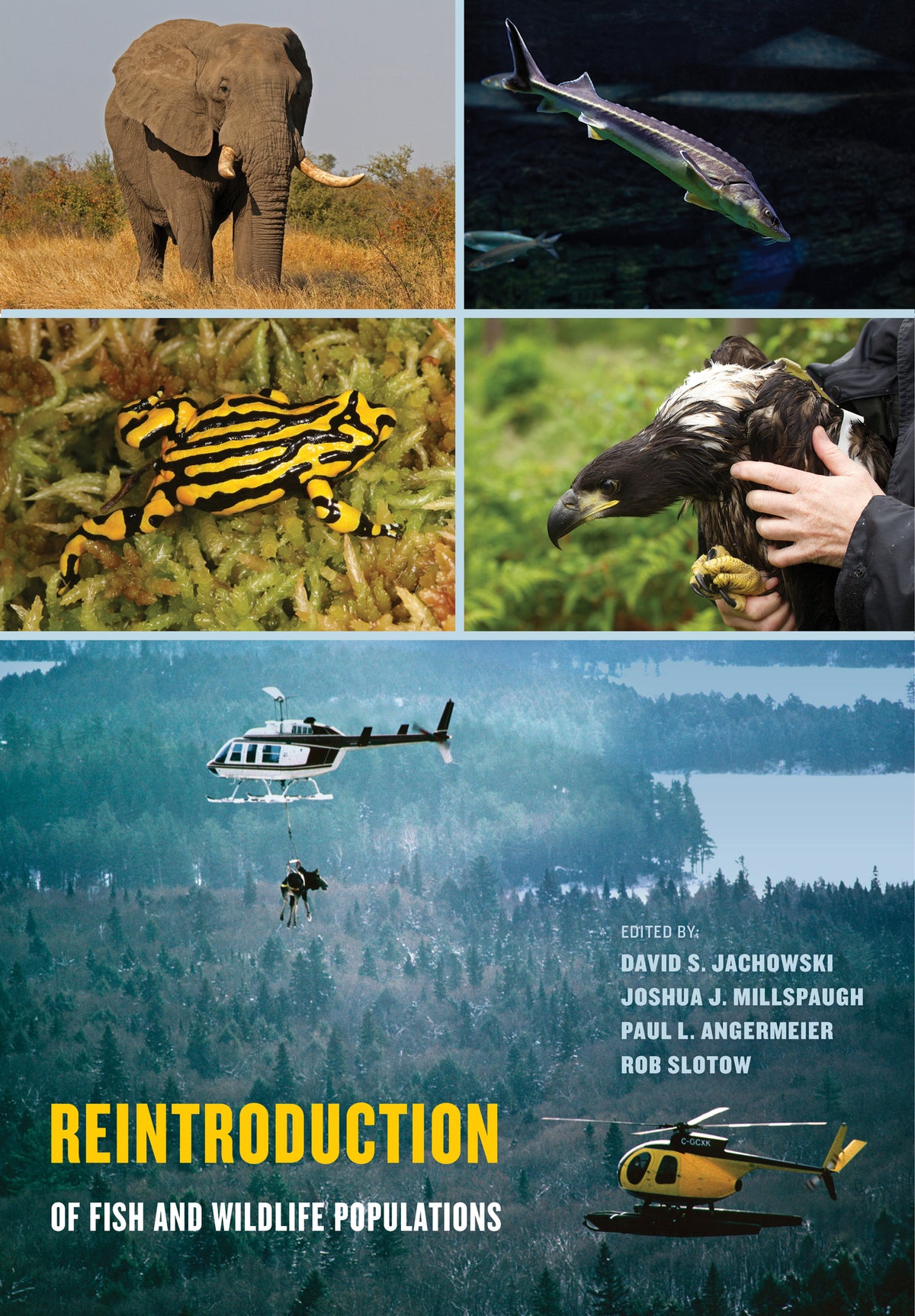 Cover image for Reintroduction of Fish and Wildlife Populations ISBN 9780520284616