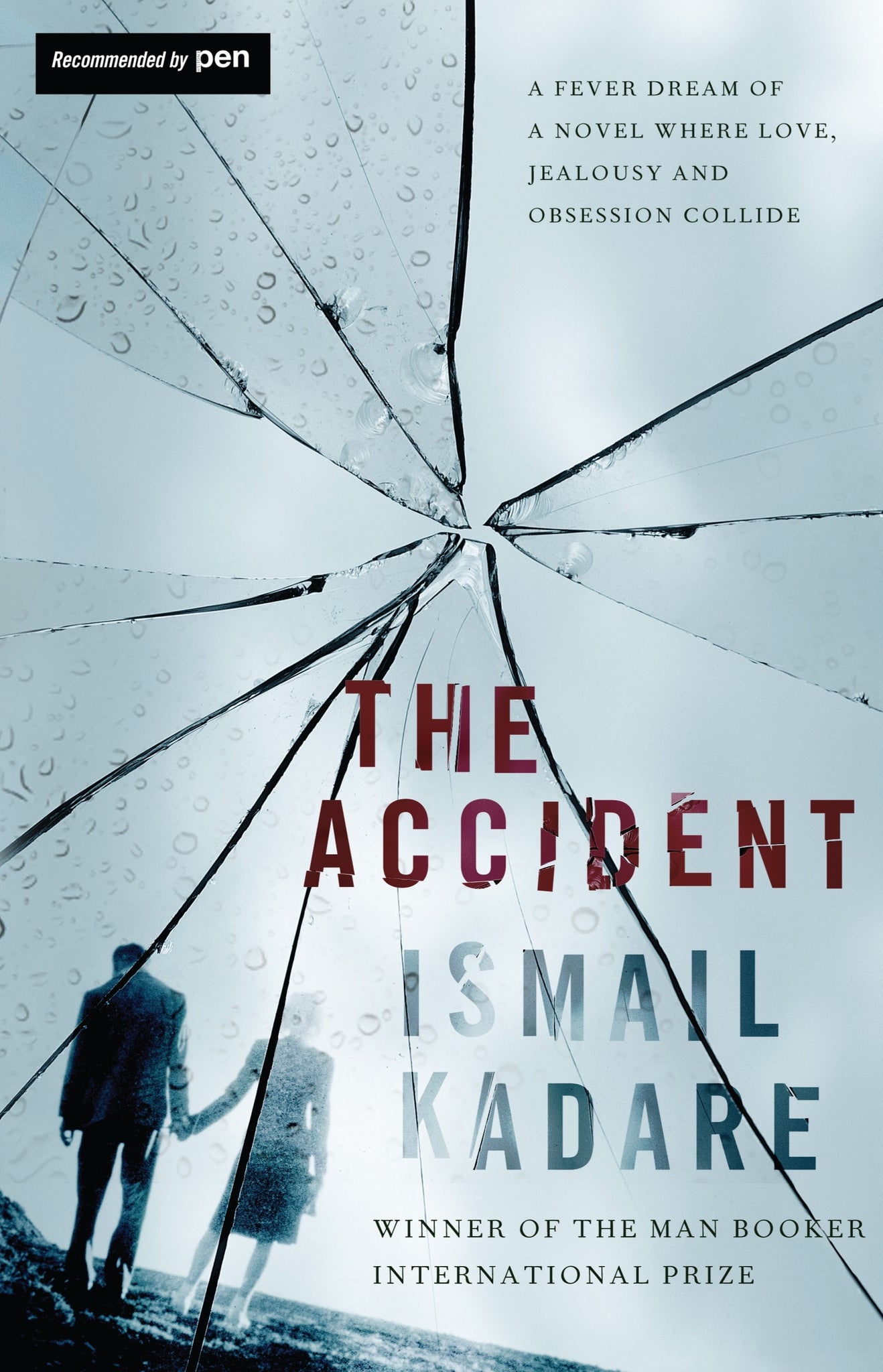 Cover image for The Accident ISBN 9781847673404
