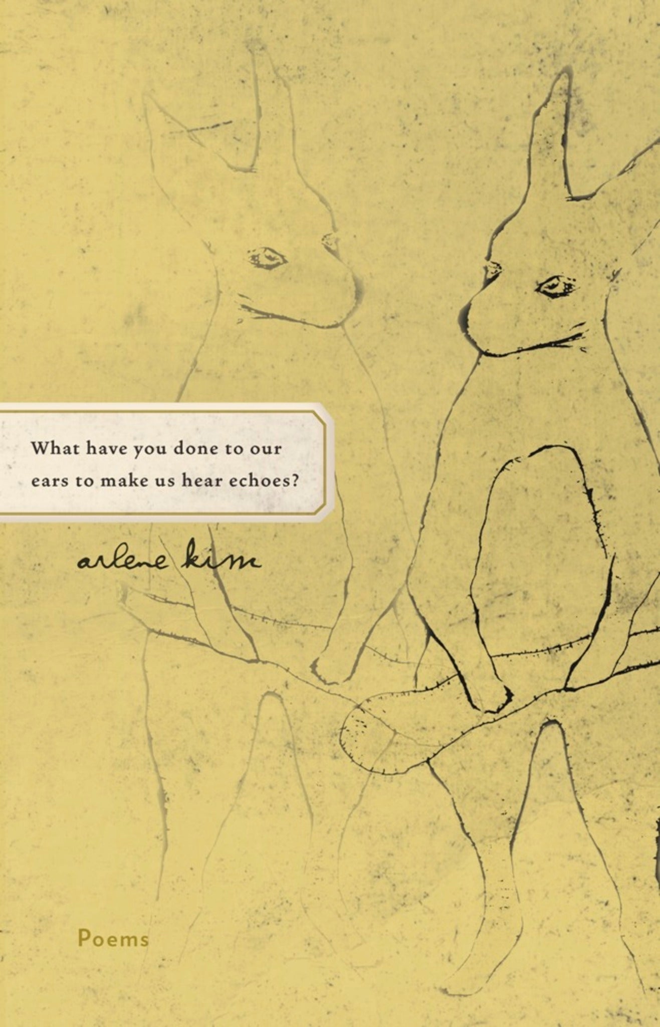 Cover image for What have you done to our ears to make us hear echoes? ISBN 9781571314406
