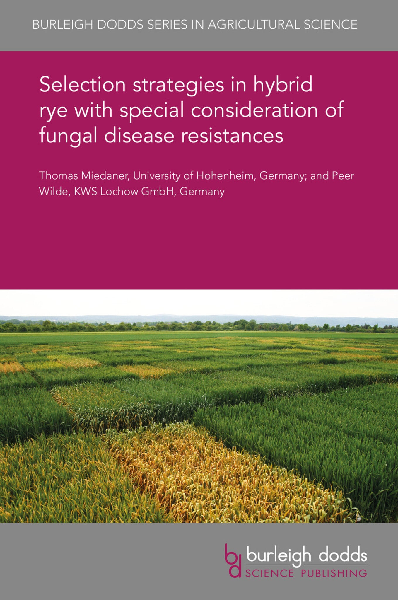 Cover image for Selection strategies in hybrid rye with special consideration of fungal disease resistances ISBN 9781838798284
