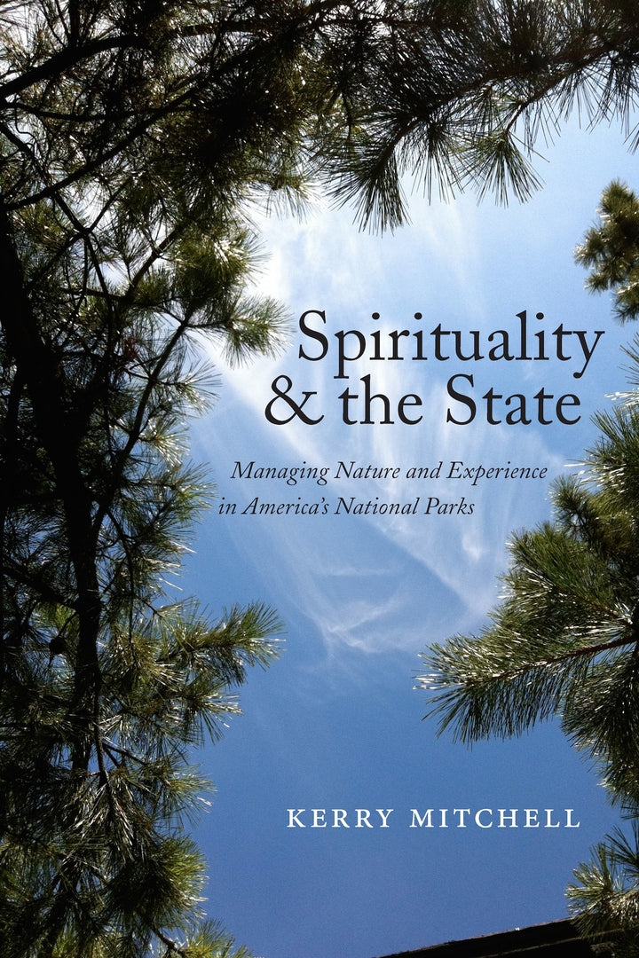 Cover image for Spirituality and the State ISBN 9781479886418