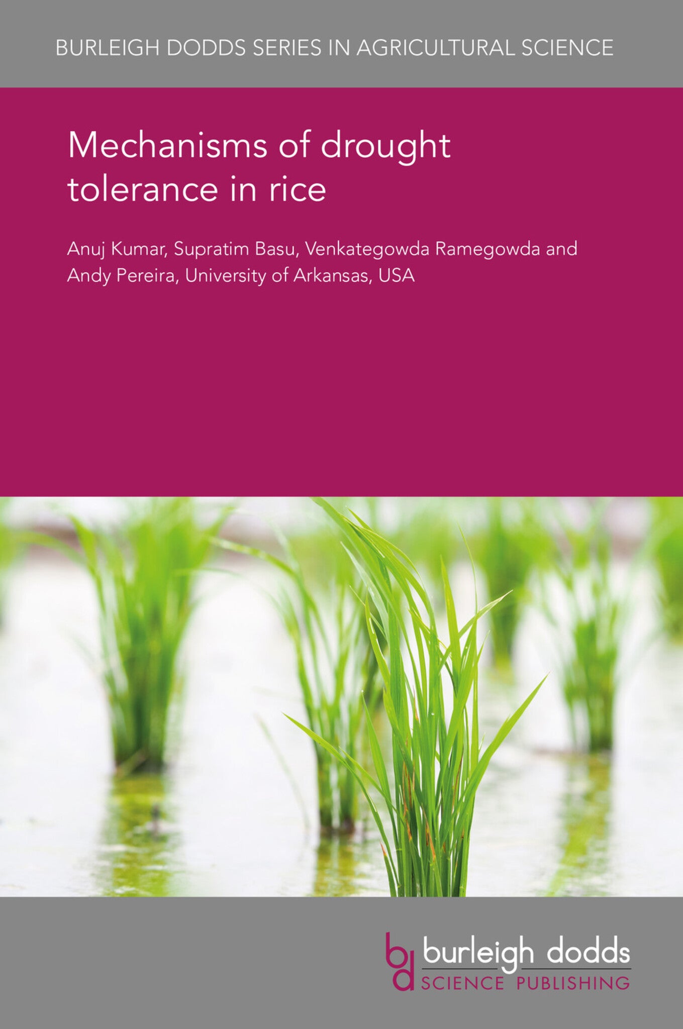 Cover image for Mechanisms of drought tolerance in rice ISBN 9781838792404