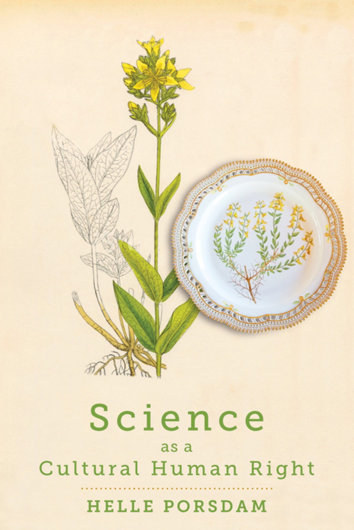 Cover image for Science as a Cultural Human Right ISBN 9781512822946