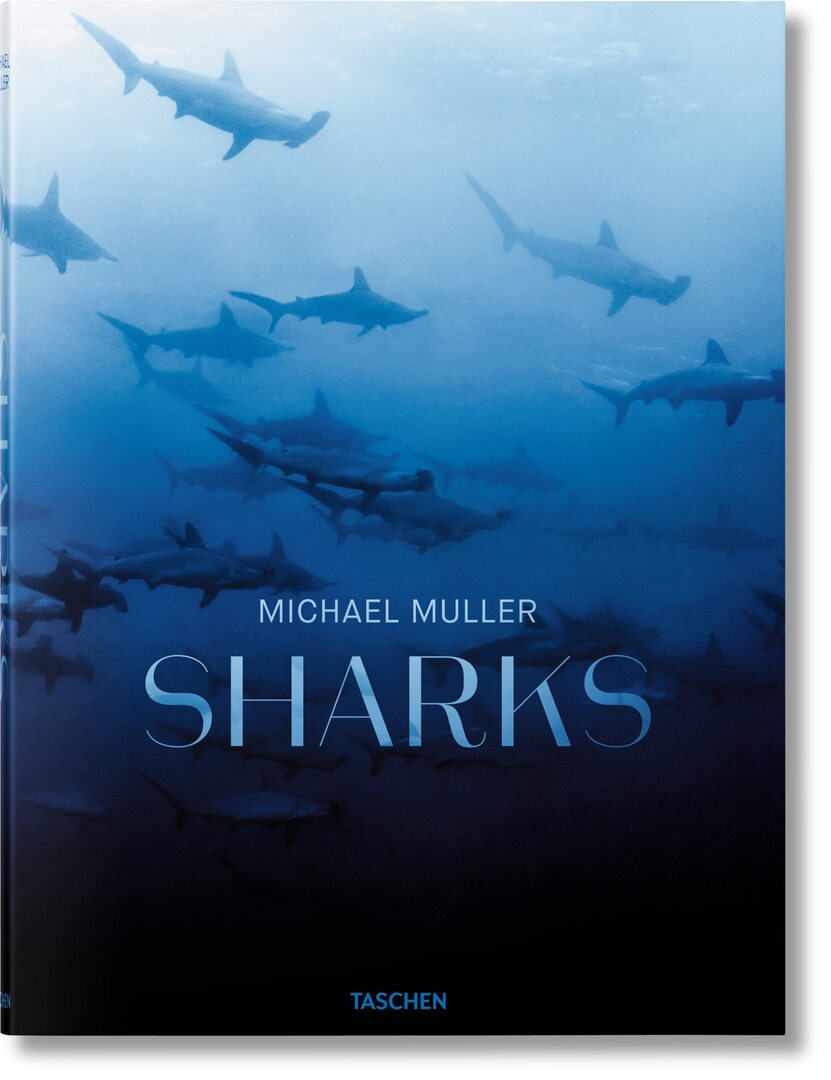 Cover image for Michael Muller. Requins ISBN 9783836559652