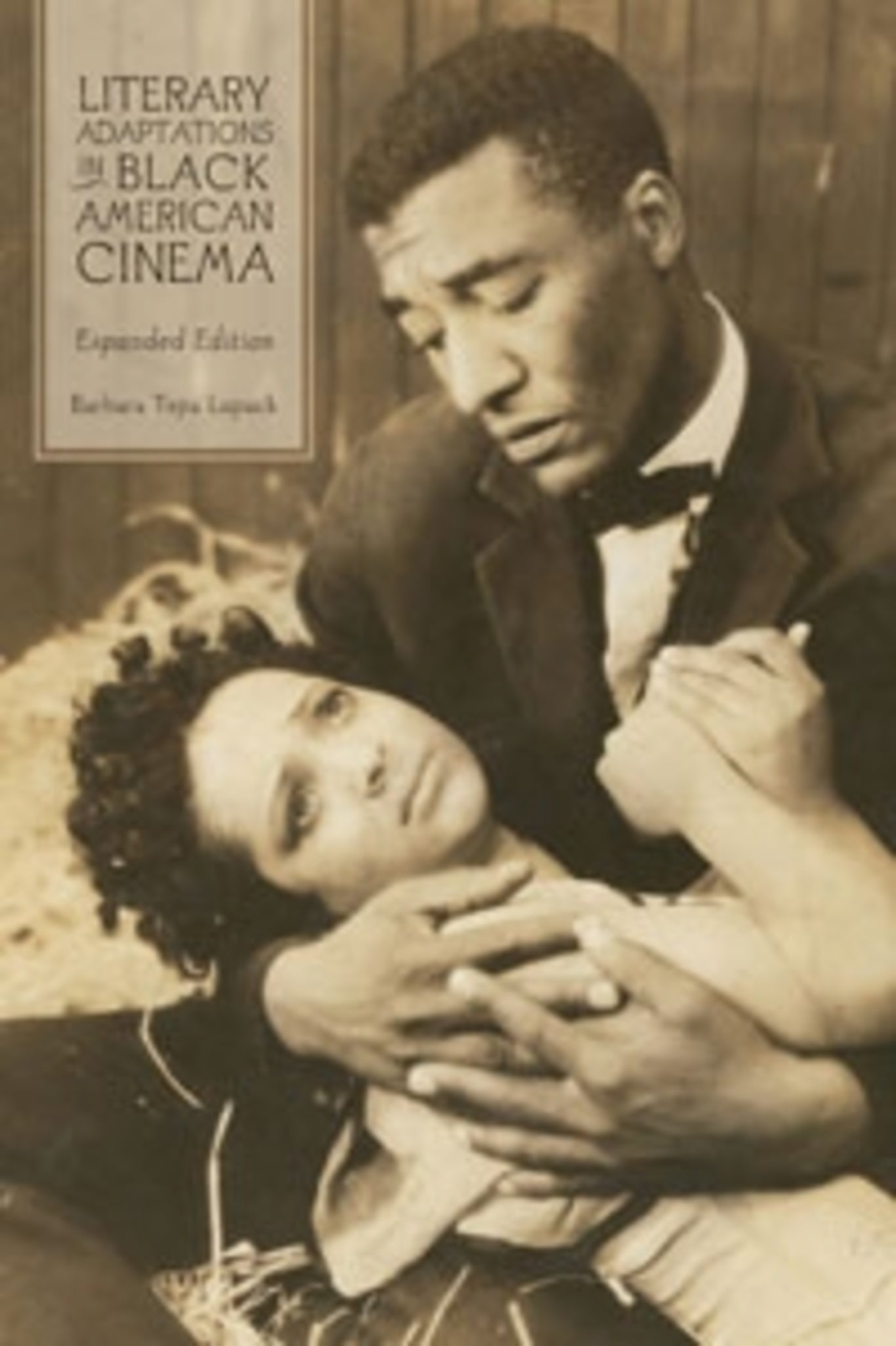 Cover image for Literary Adaptations in Black American Cinema ISBN 9781580463720