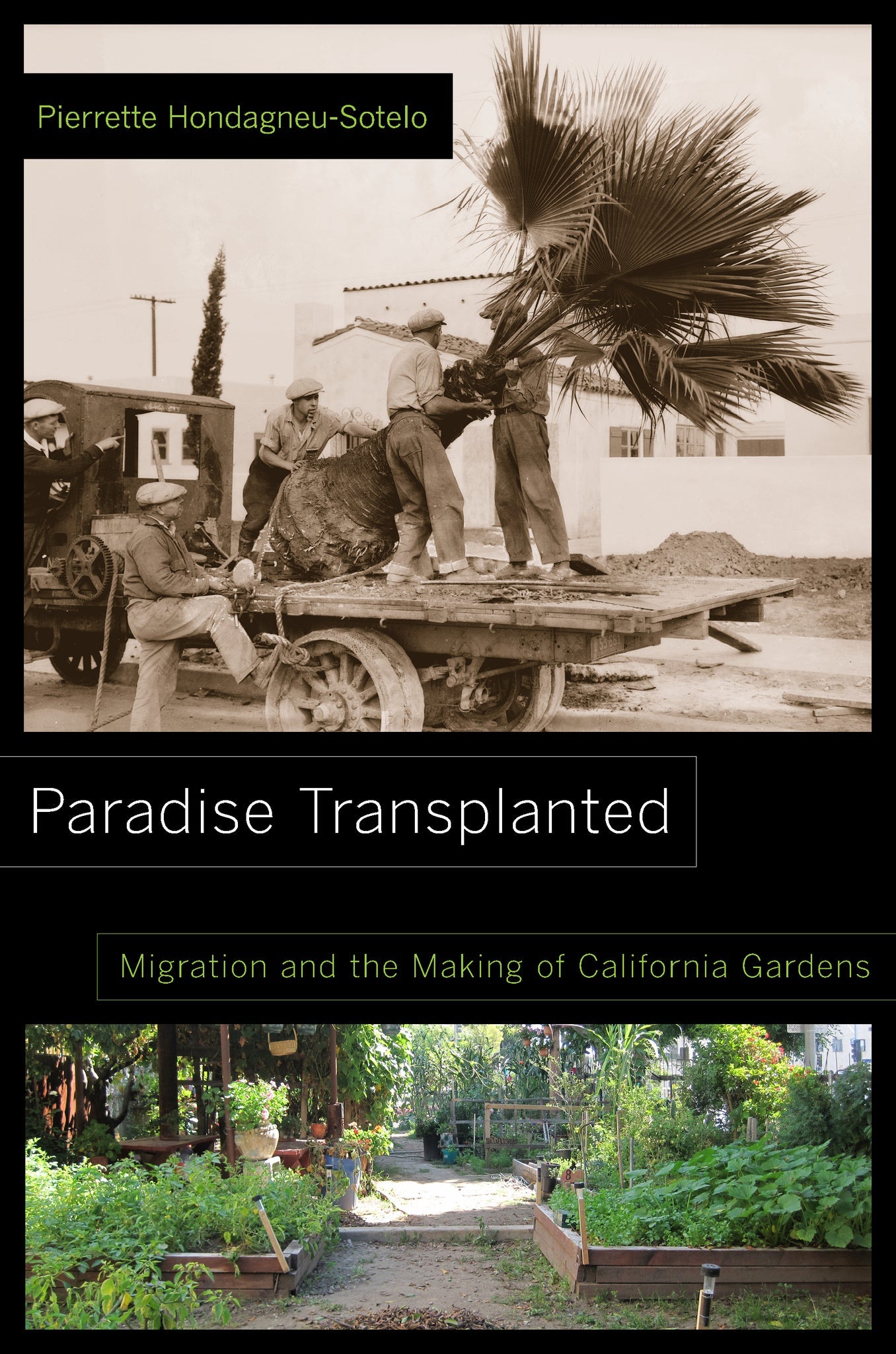 Cover image for Paradise Transplanted ISBN 9780520959217