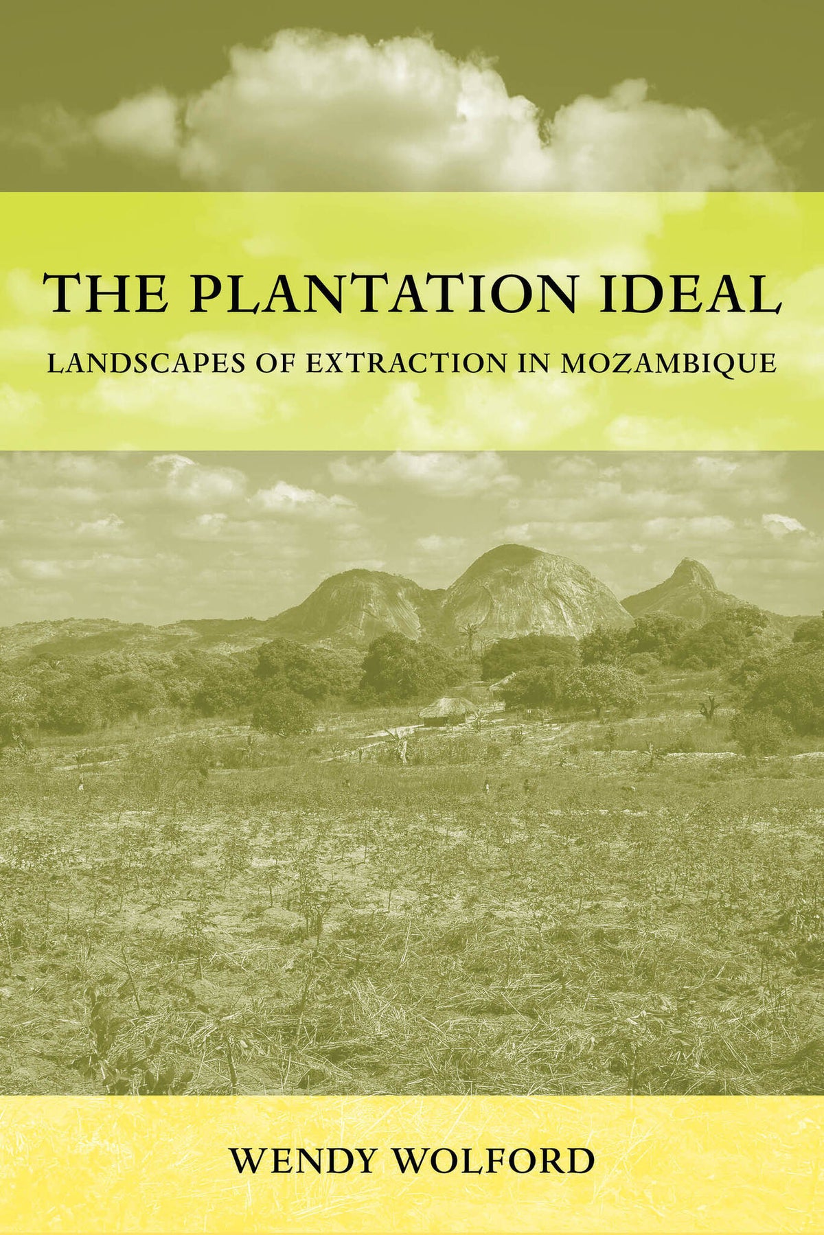 Cover image for The Plantation Ideal ISBN 9780520416871