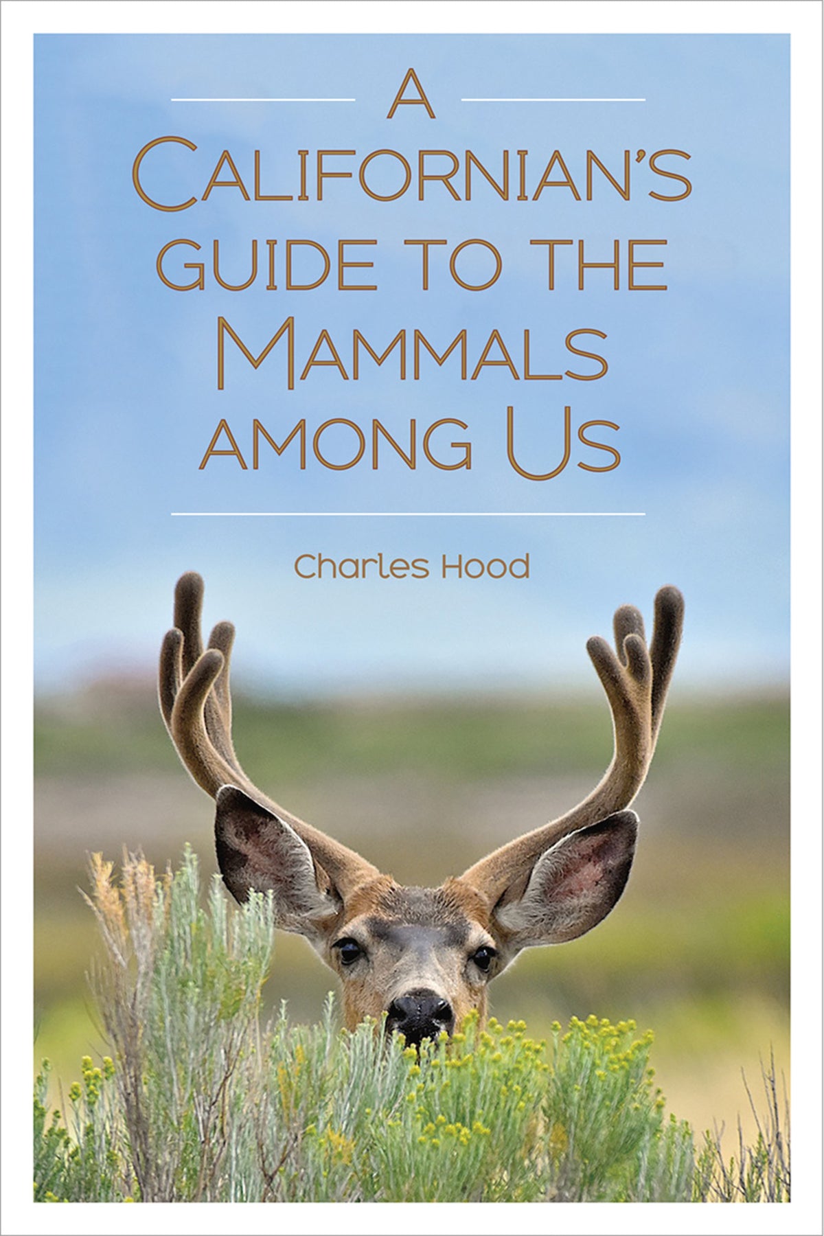Cover image for A Californian's Guide to the Mammals Among Us ISBN 9781597144438