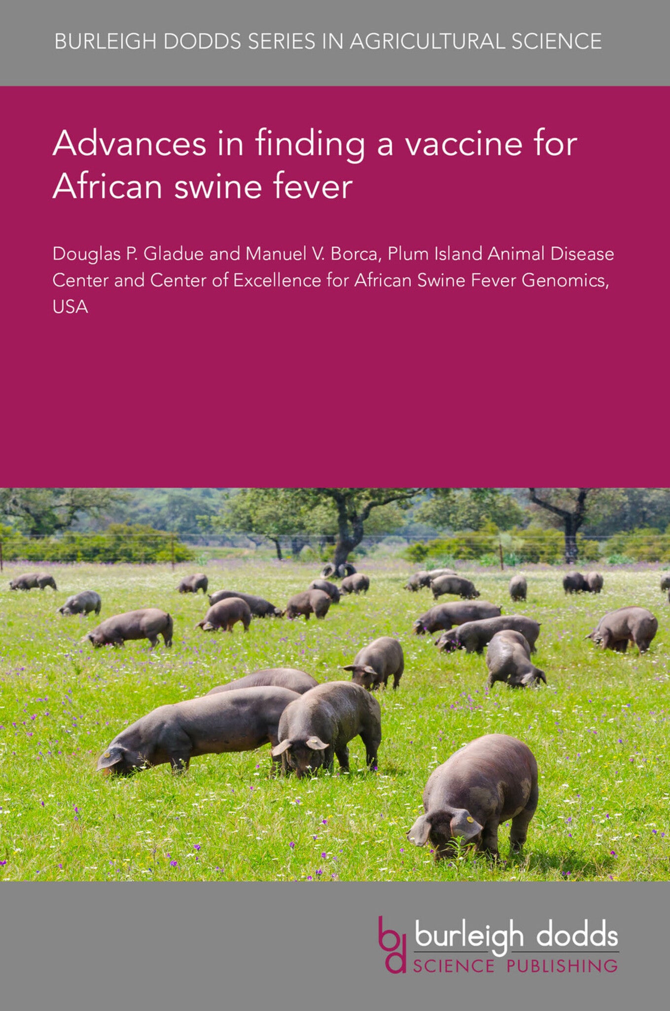 Cover image for Advances in finding a vaccine for African swine fever ISBN 9781801469869