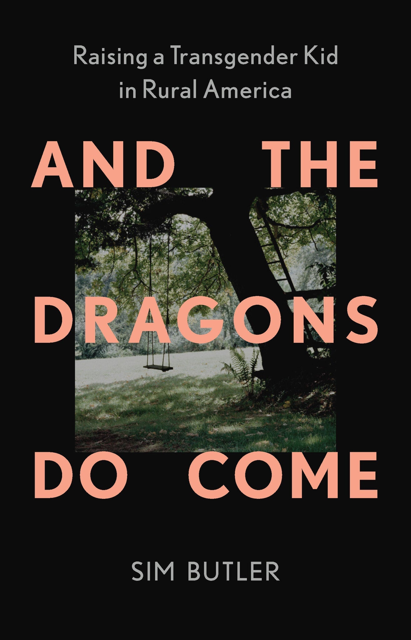 Cover image for And the Dragons Do Come ISBN 9781620979945